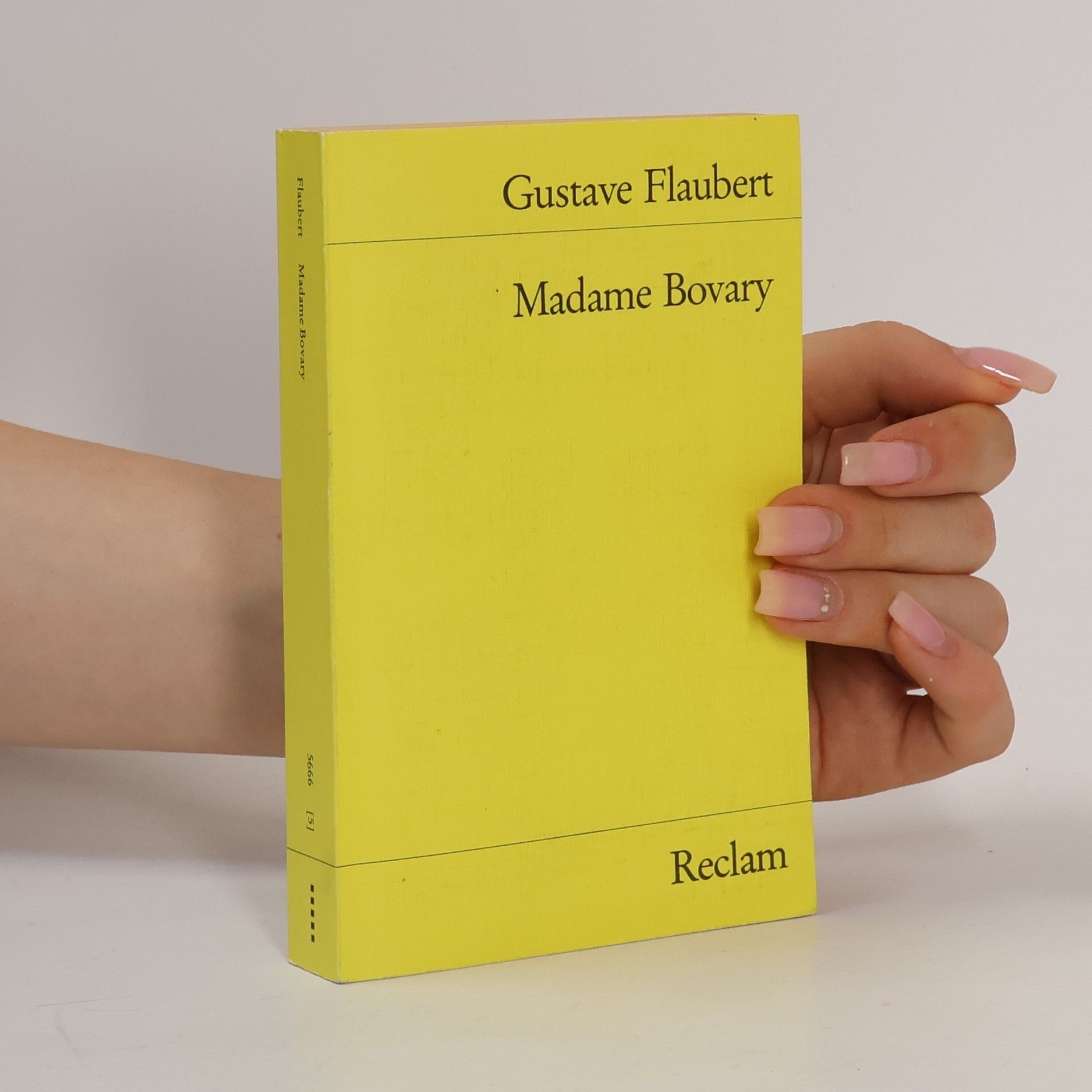 Gustave Flaubert Madame Bovary