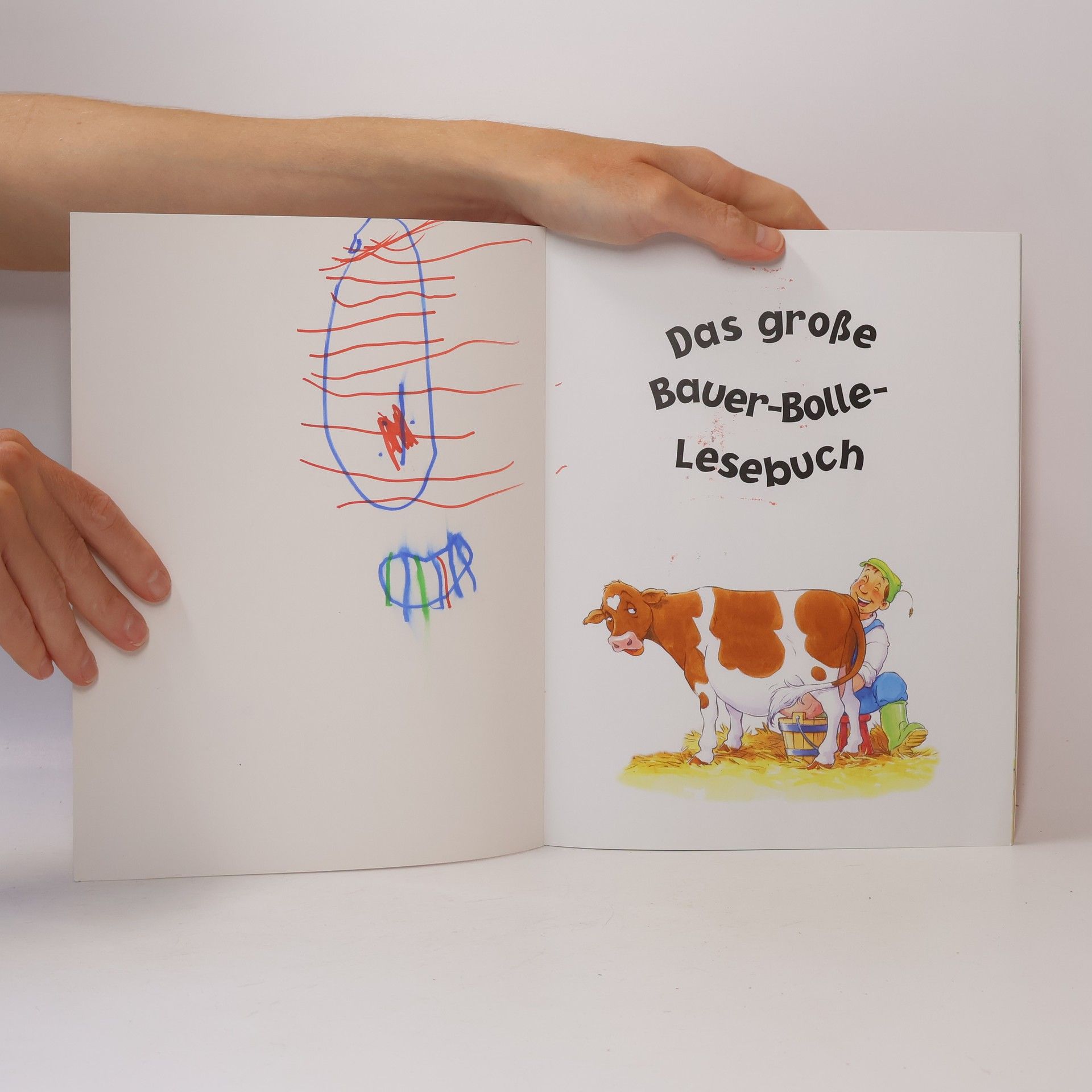 Gaby Goldsack Das grosse Bauer-Bolle-Lesebuch