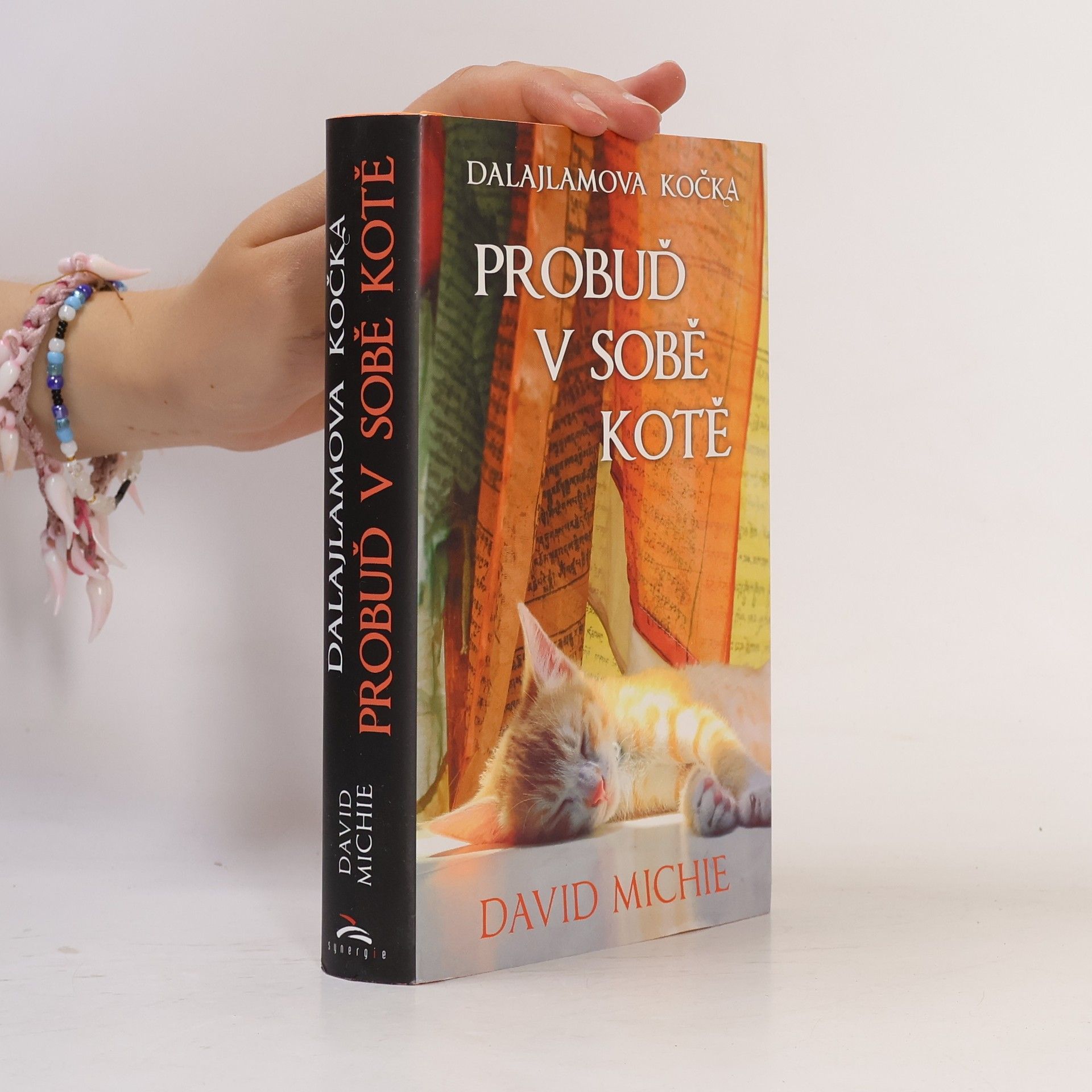 David Michie Dalajlamova kočka - probuď v sobě kotě