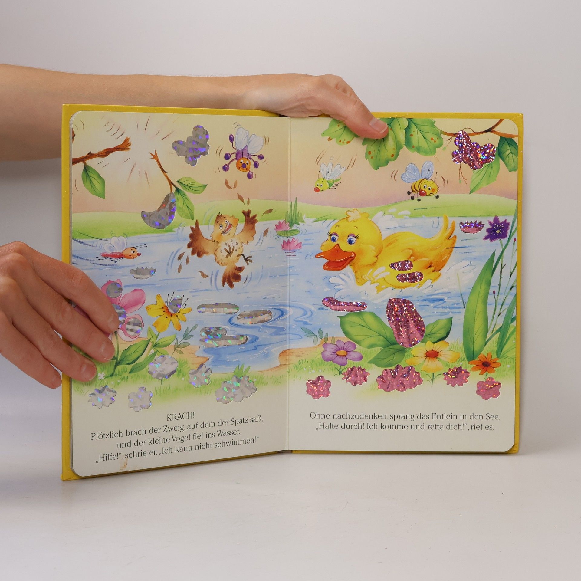 Autorenkollektiv Die kleine Ente