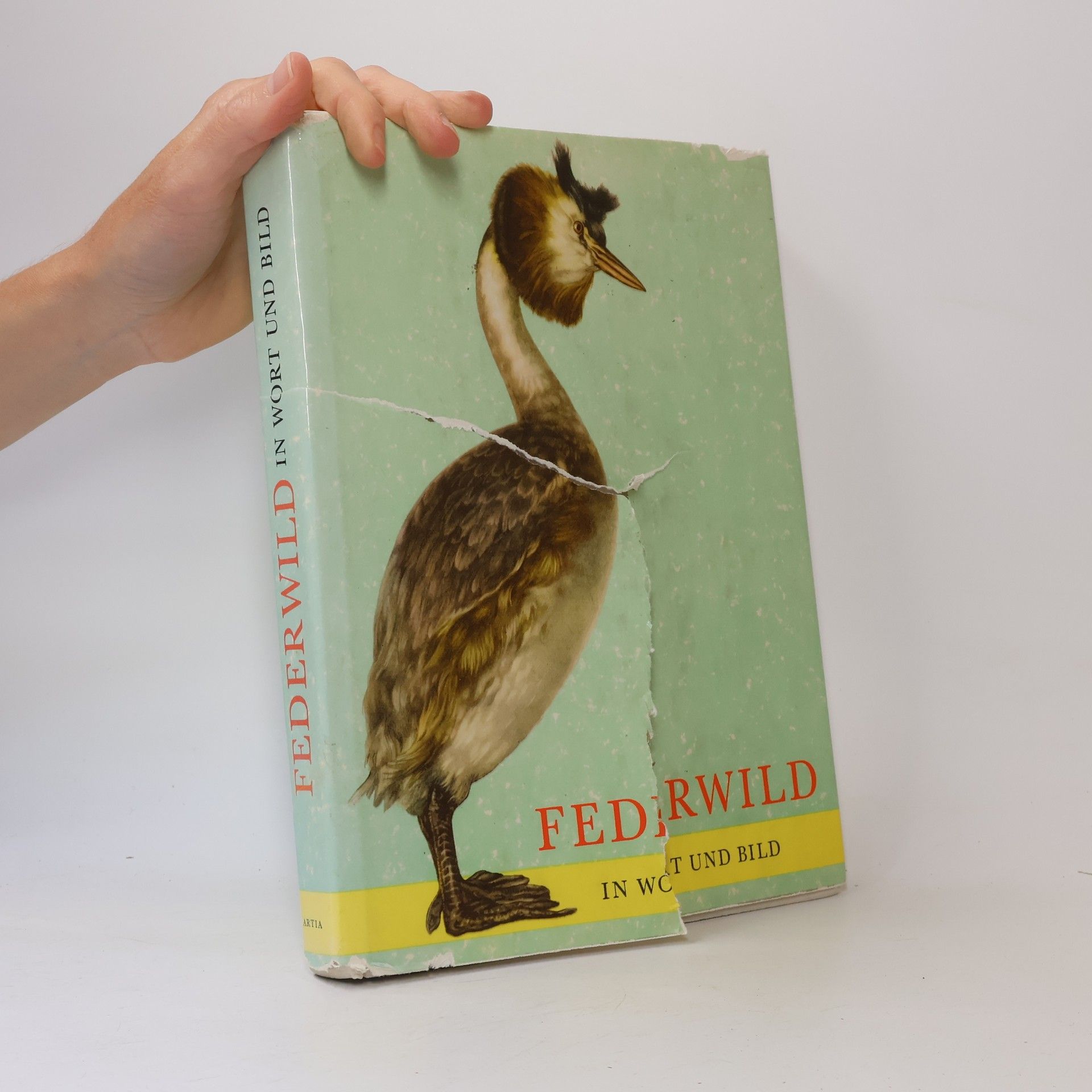 Various authors Federwild in Wort und Bild