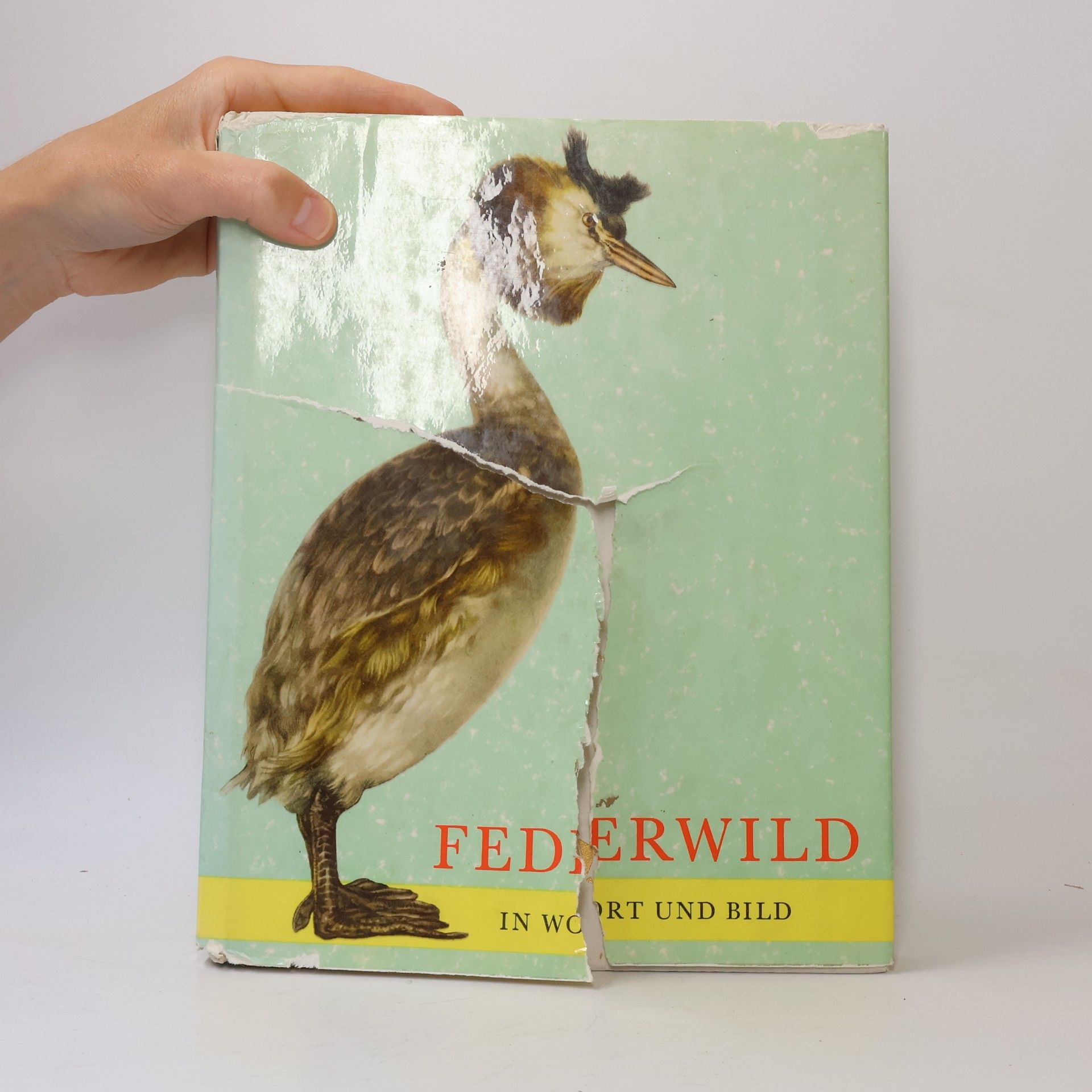 Various authors Federwild in Wort und Bild