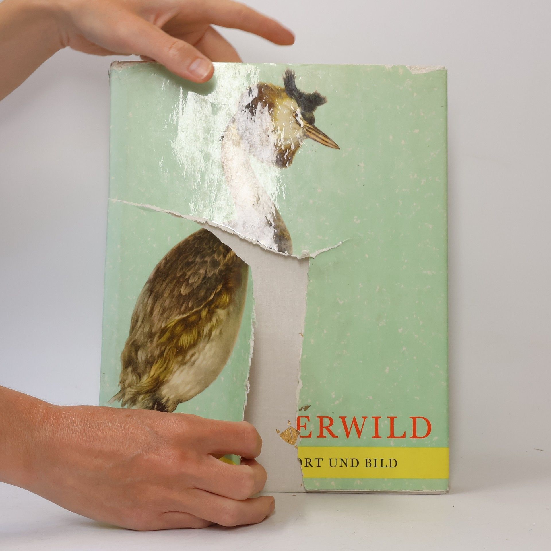 Various authors Federwild in Wort und Bild