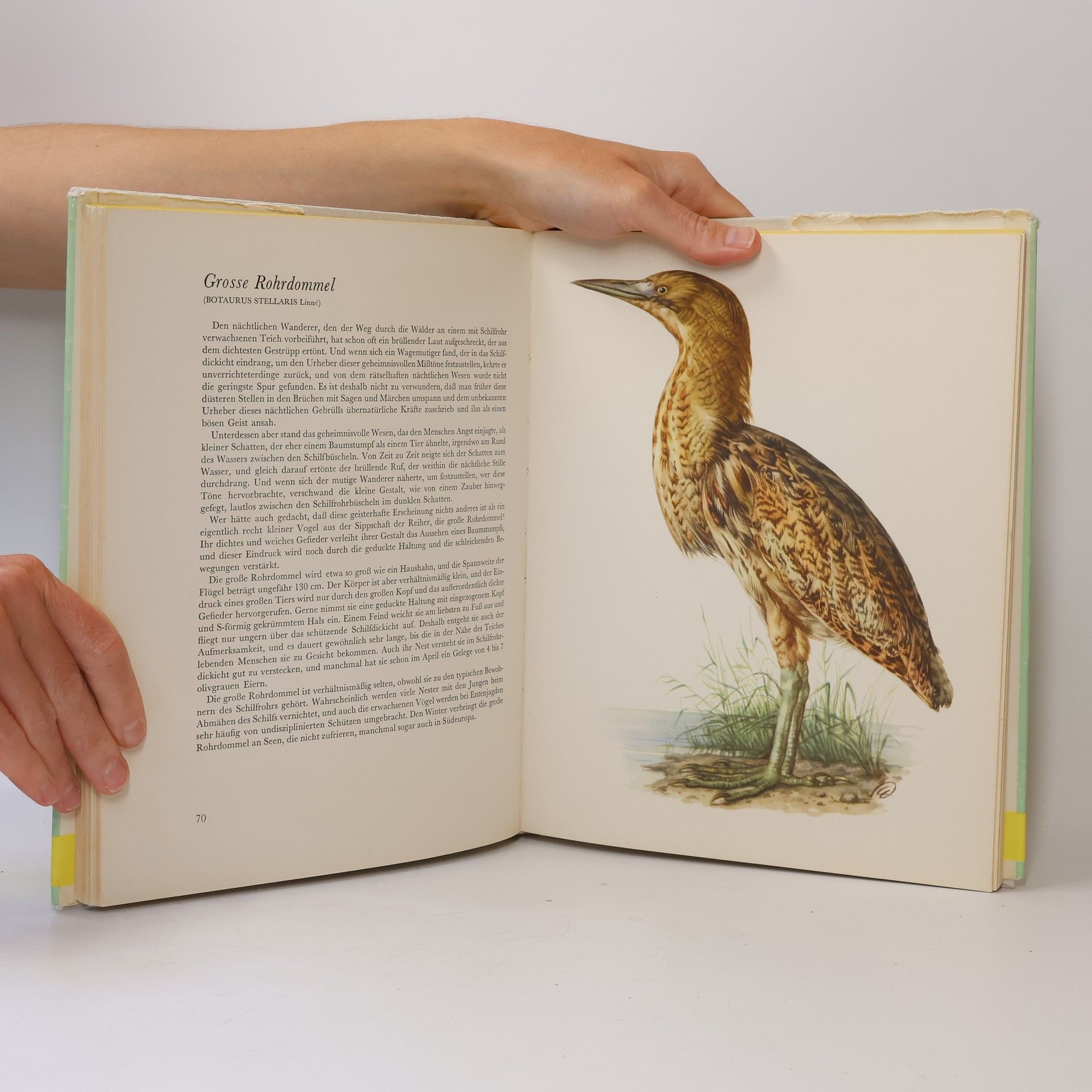 Various authors Federwild in Wort und Bild