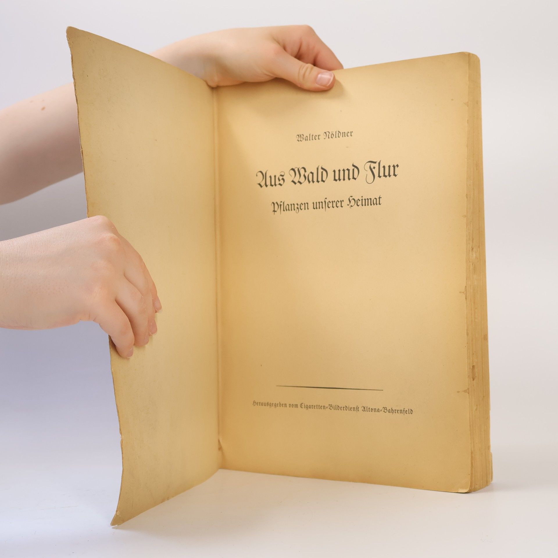 Walter Nöldner Aus Wald und Flur