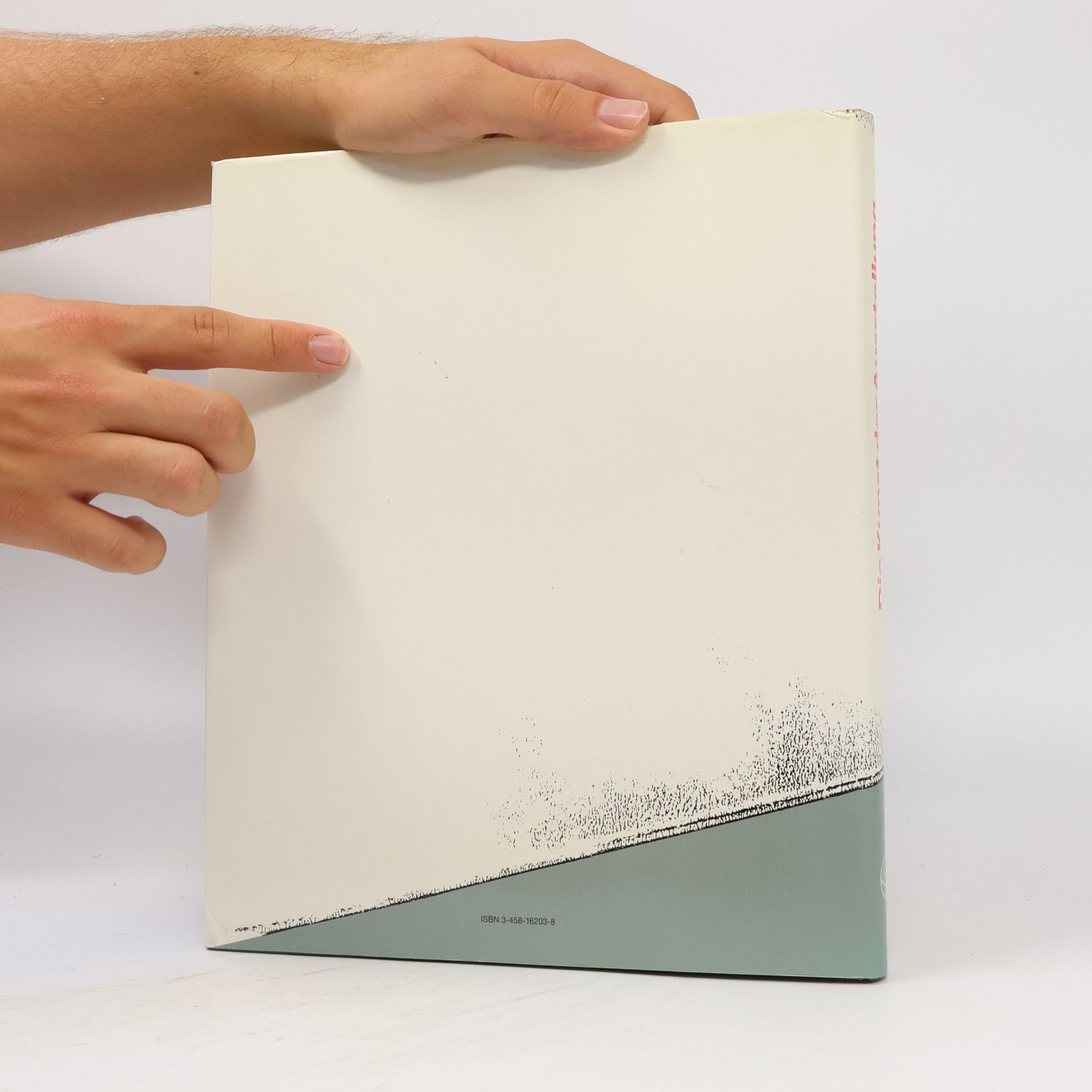 Bernd Klüser Die Kunst der Ausstellung