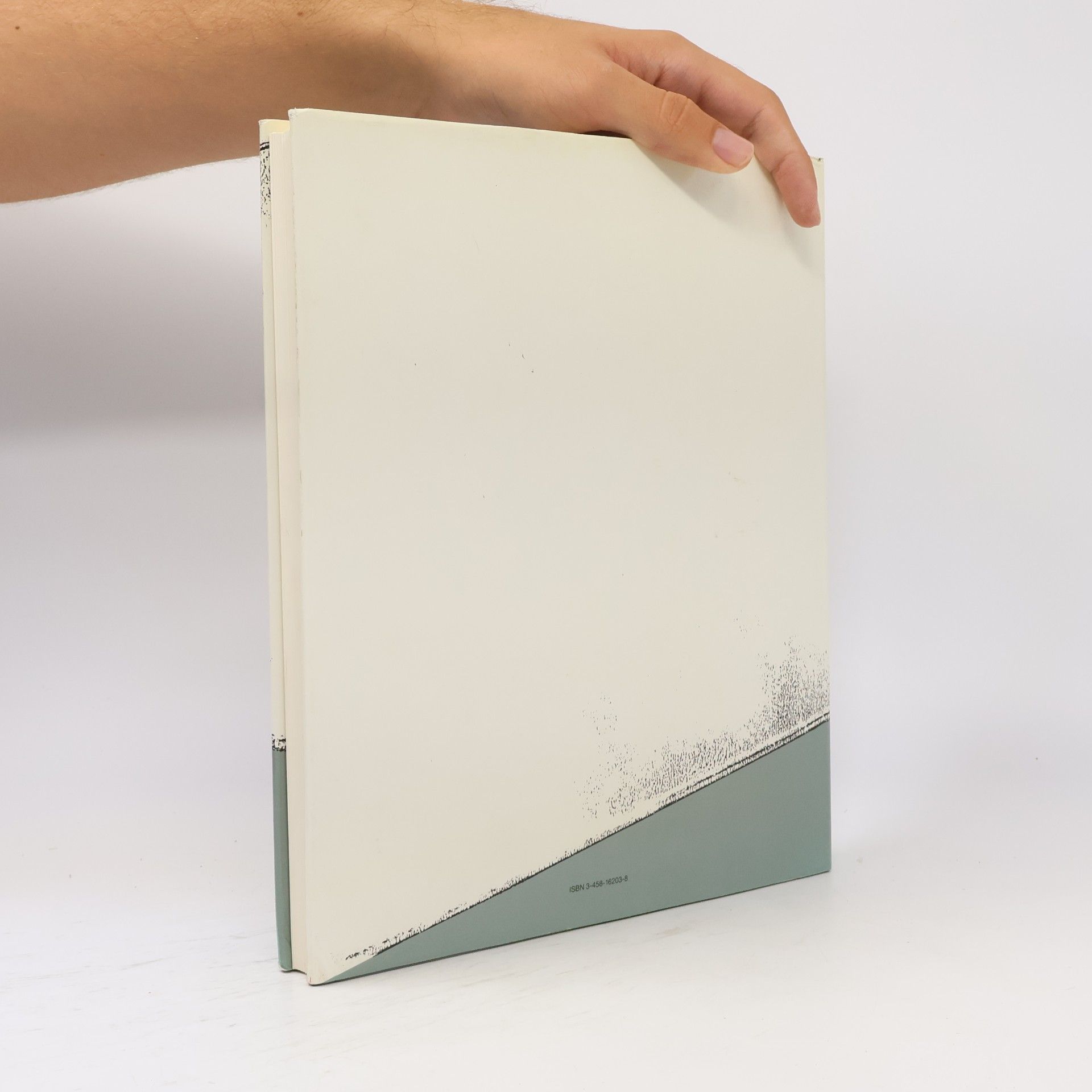Bernd Klüser Die Kunst der Ausstellung