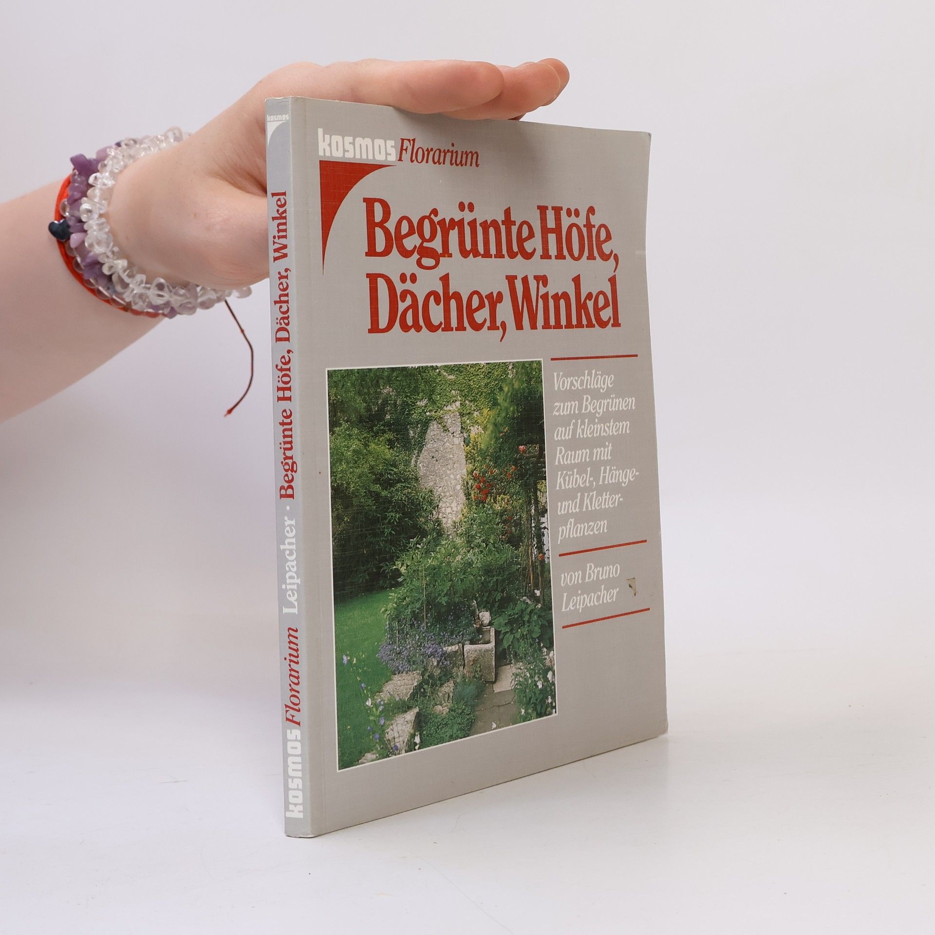 Bruno Leipacher Begrünte Höfe, Dächer, Winkel