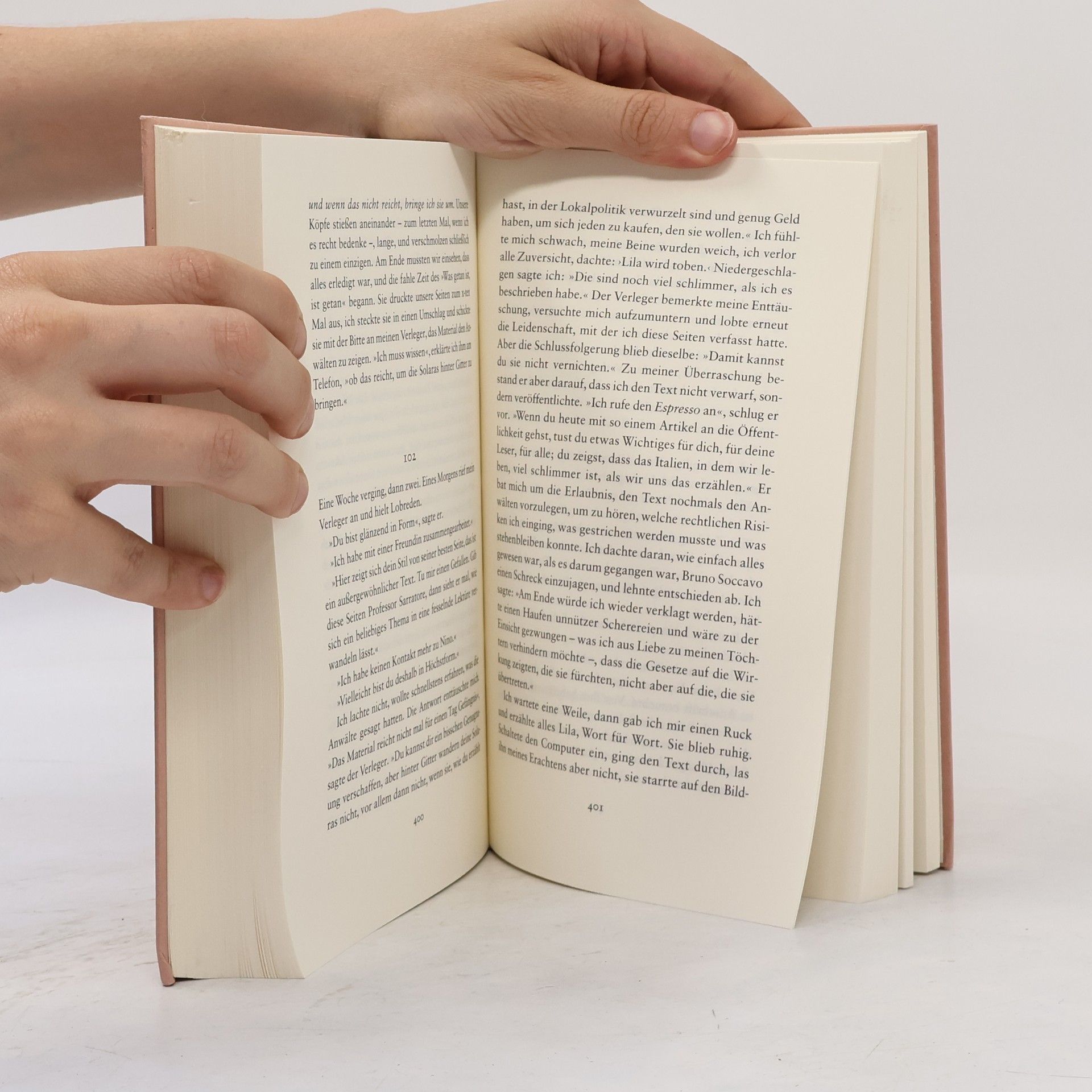 Elena Ferrante Die Geschichte Des Verlorenen Kindes