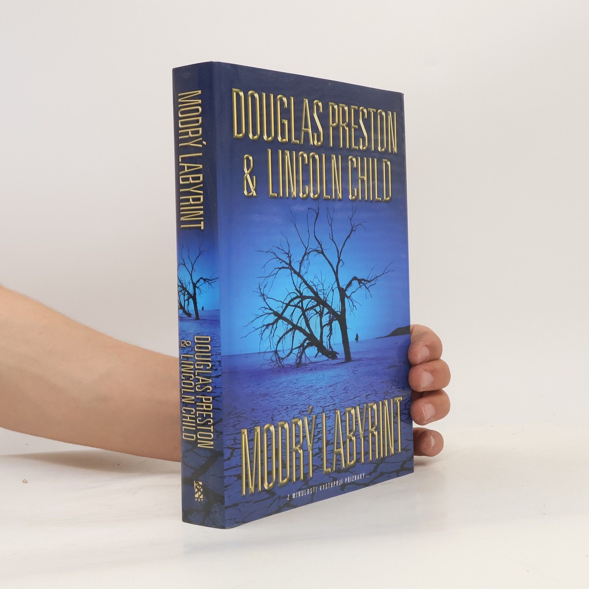 Douglas Preston Modrý labyrint