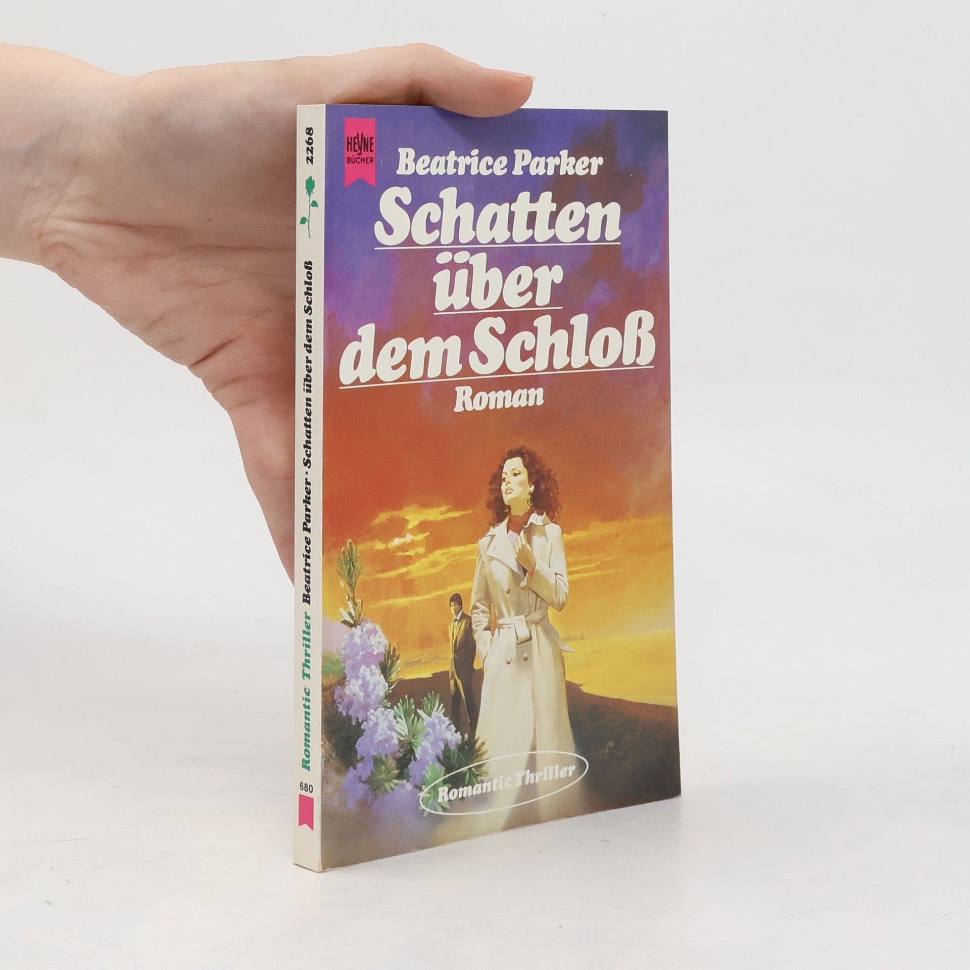 Schatten über dem Schloß
