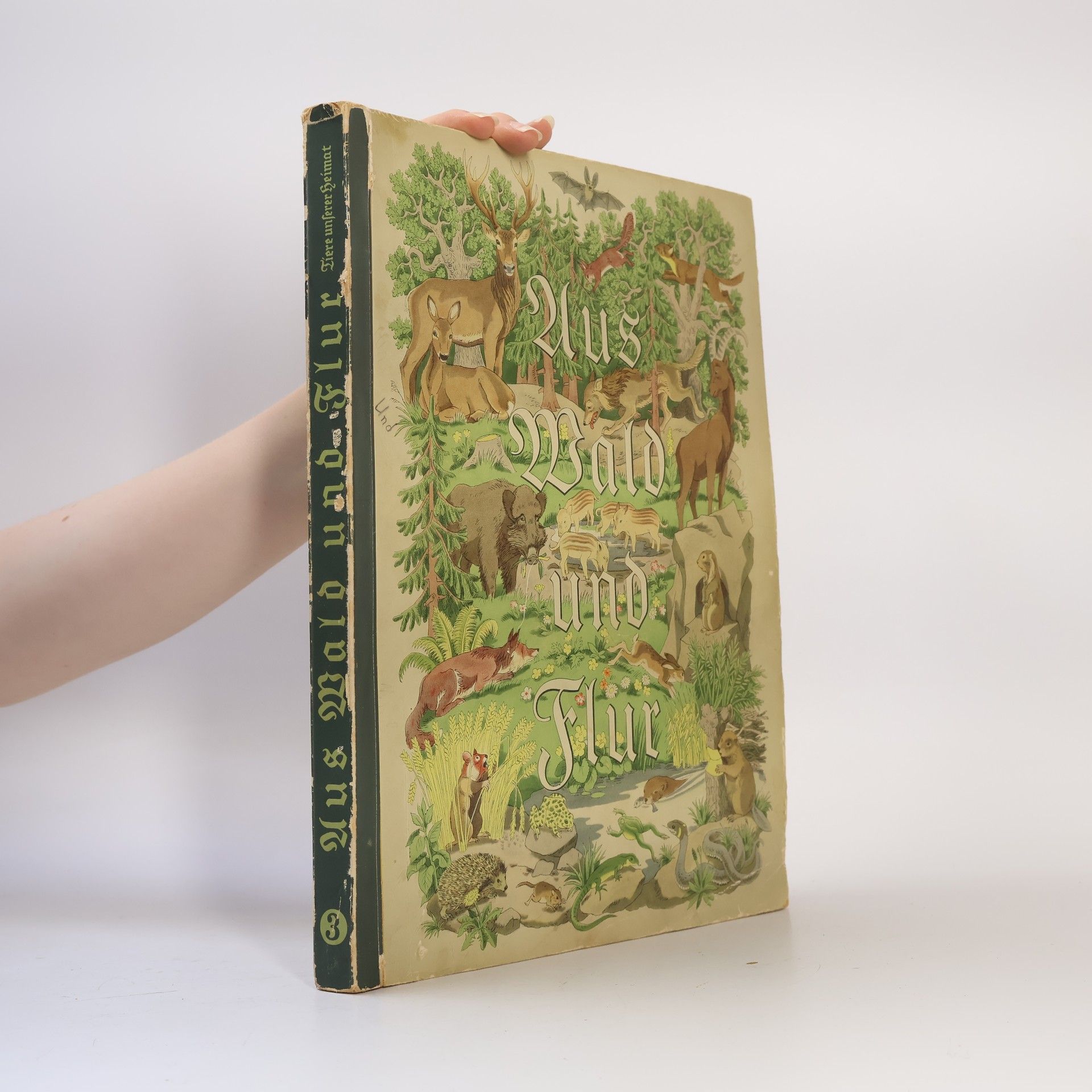 Autorenkollektiv Aus Wald und Flur