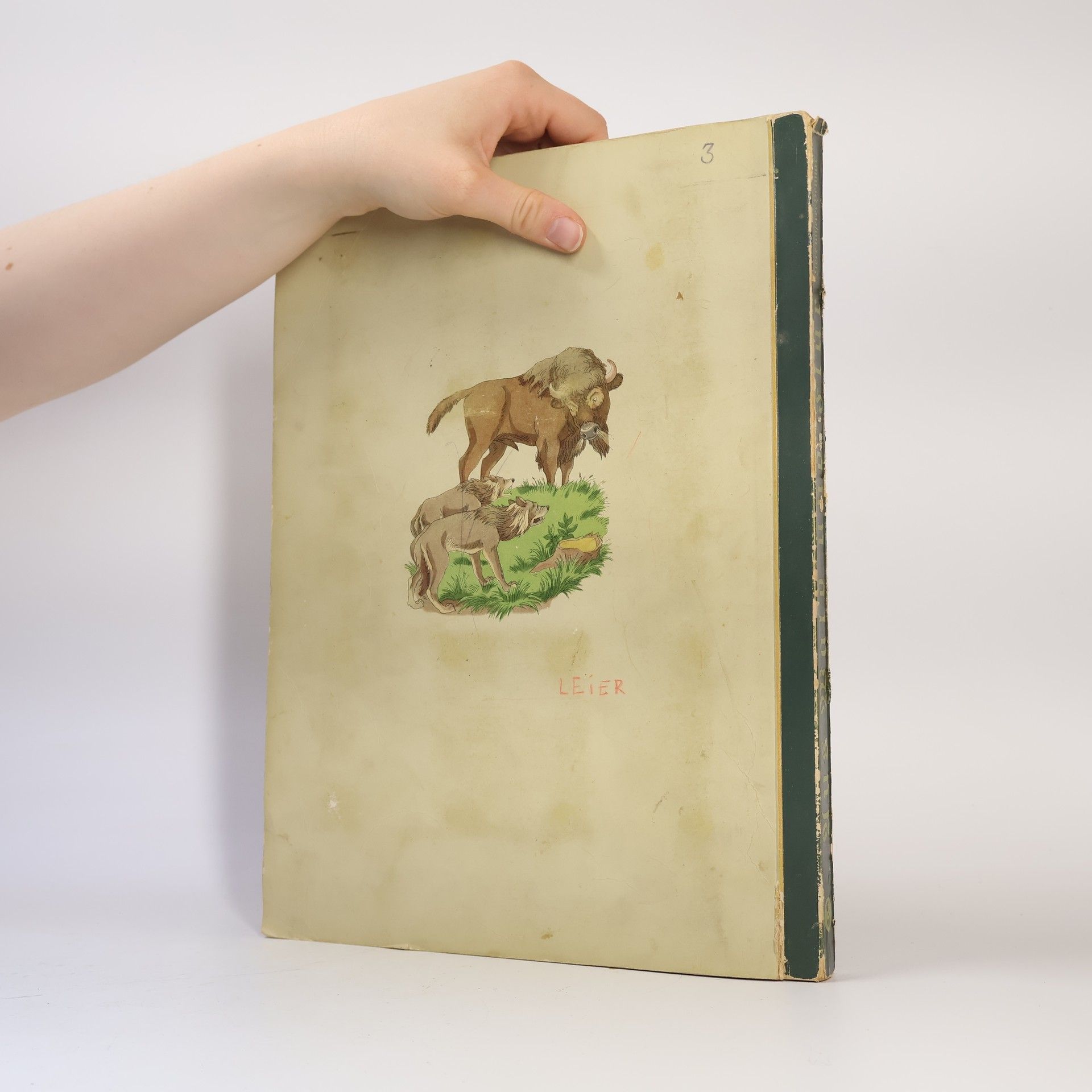 Autorenkollektiv Aus Wald und Flur