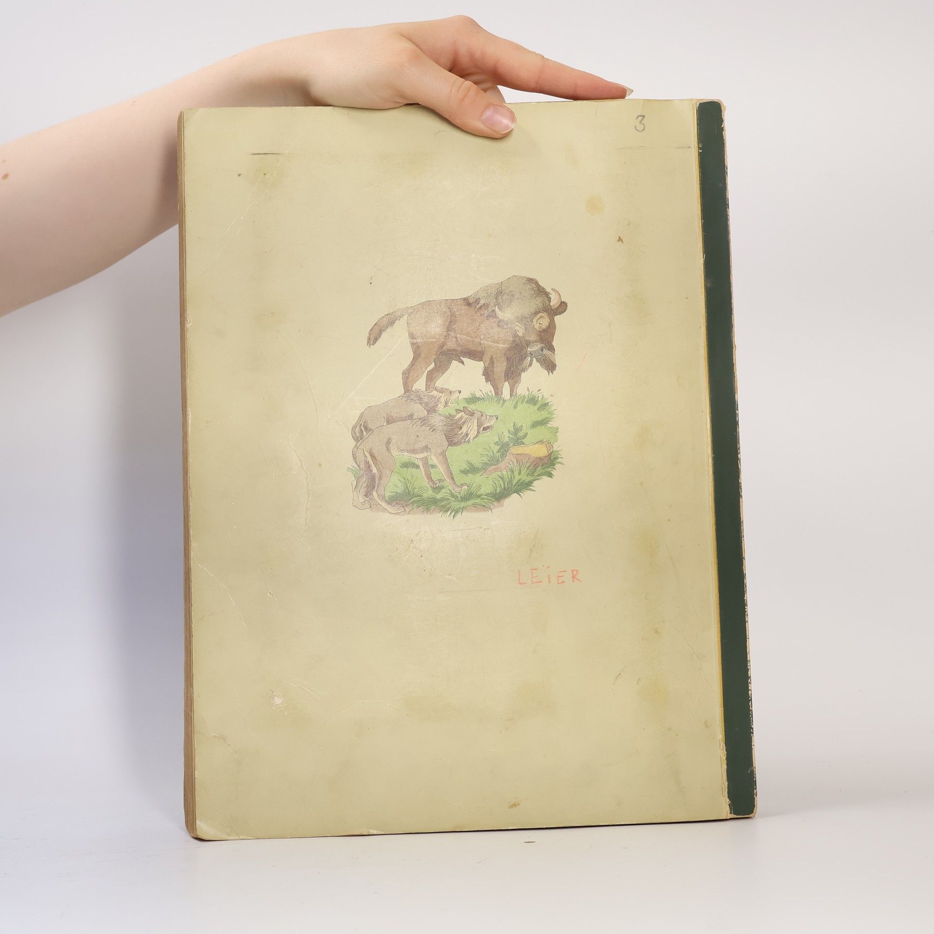 Autorenkollektiv Aus Wald und Flur