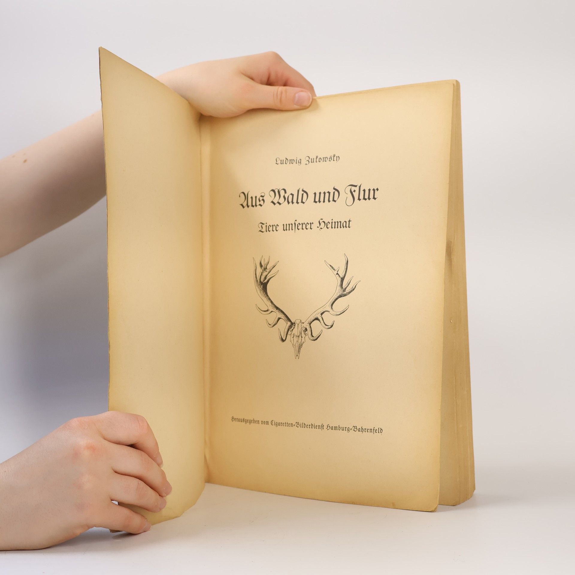 Autorenkollektiv Aus Wald und Flur