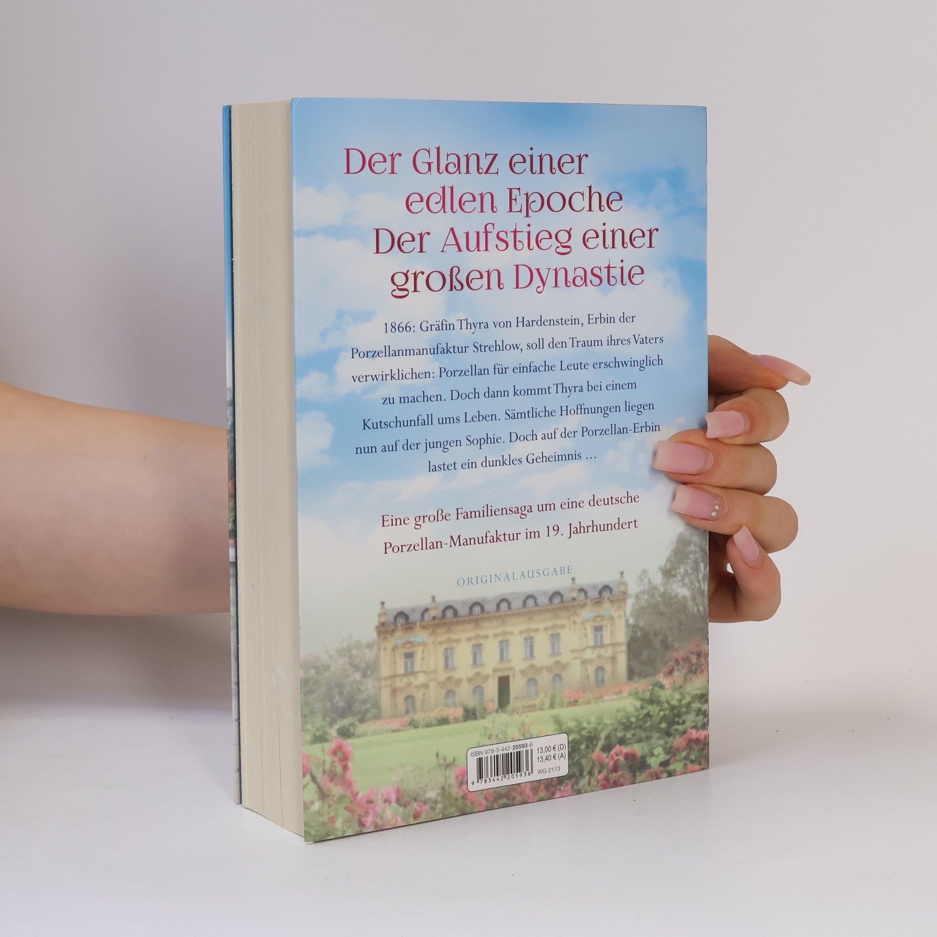 Florian Busch Die Porzellan-Erbin - unruhige Zeiten