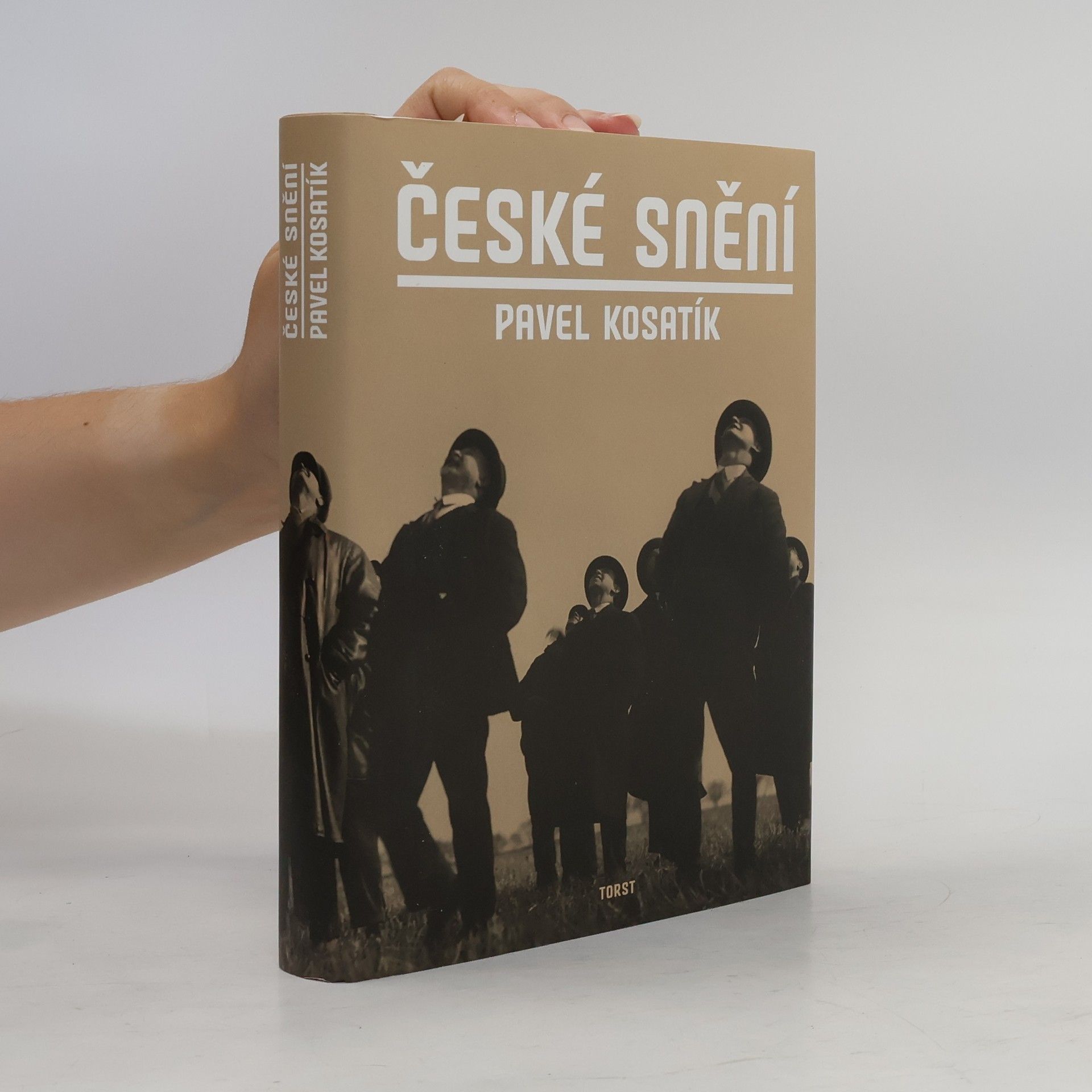 Pavel Kosatík České snění