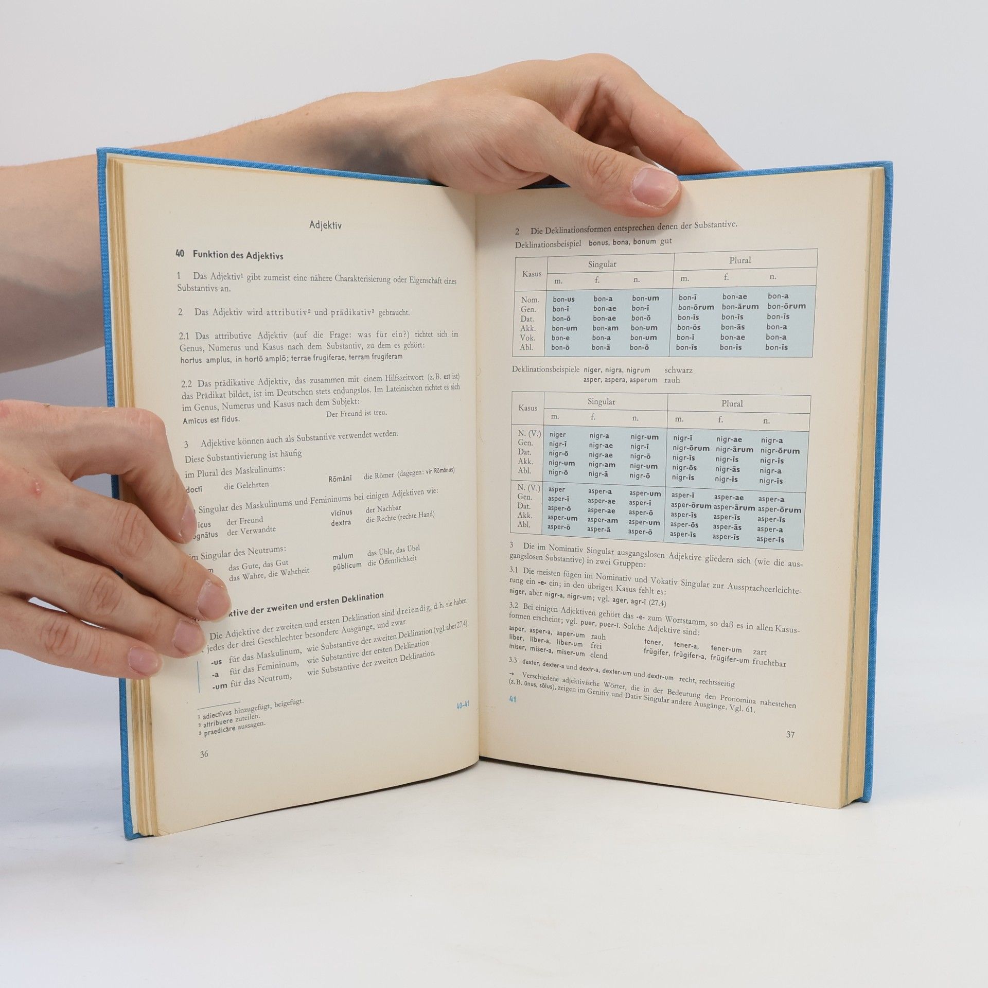 Karl Bayer Lateinische Grammatik