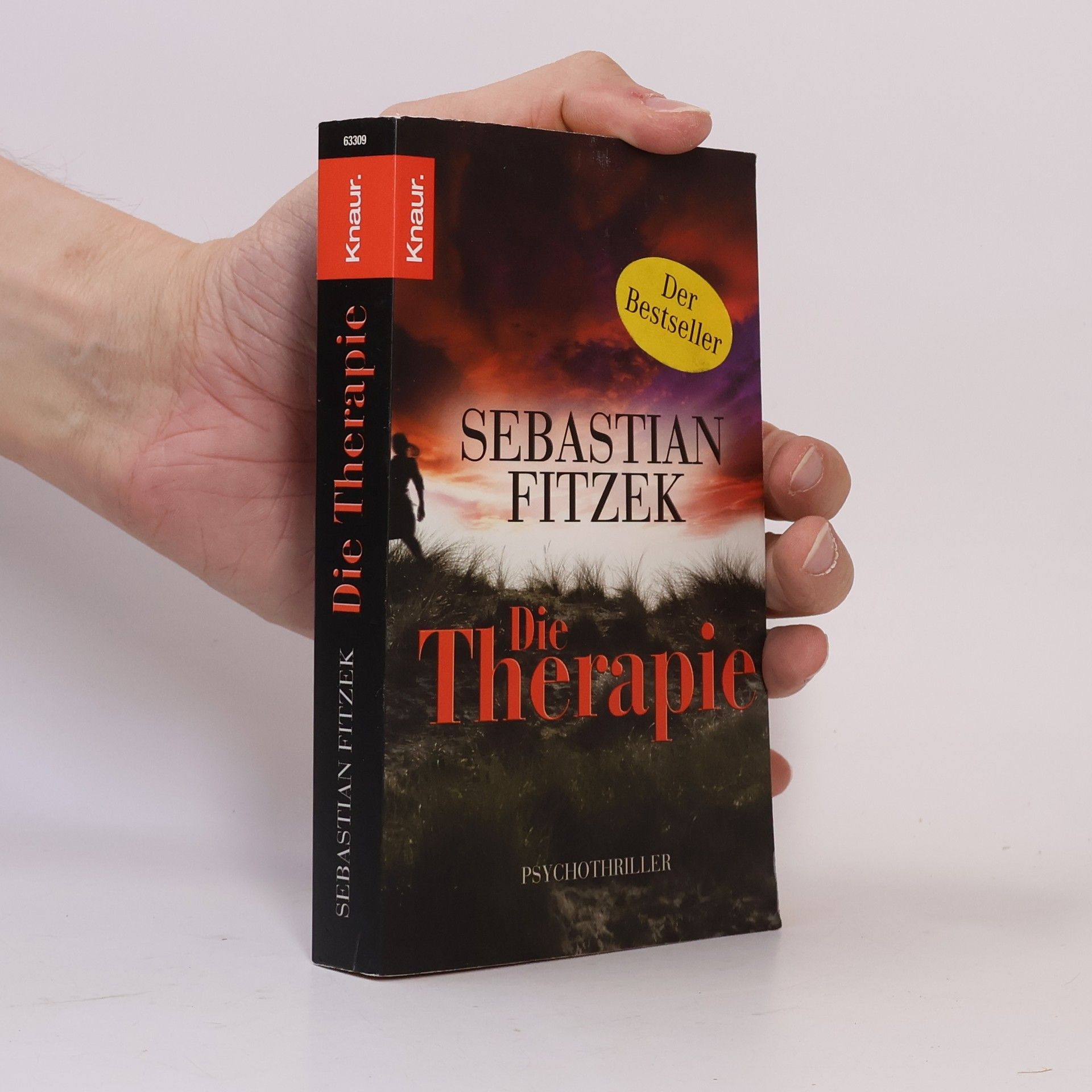Sebastian Fitzek Die Therapie