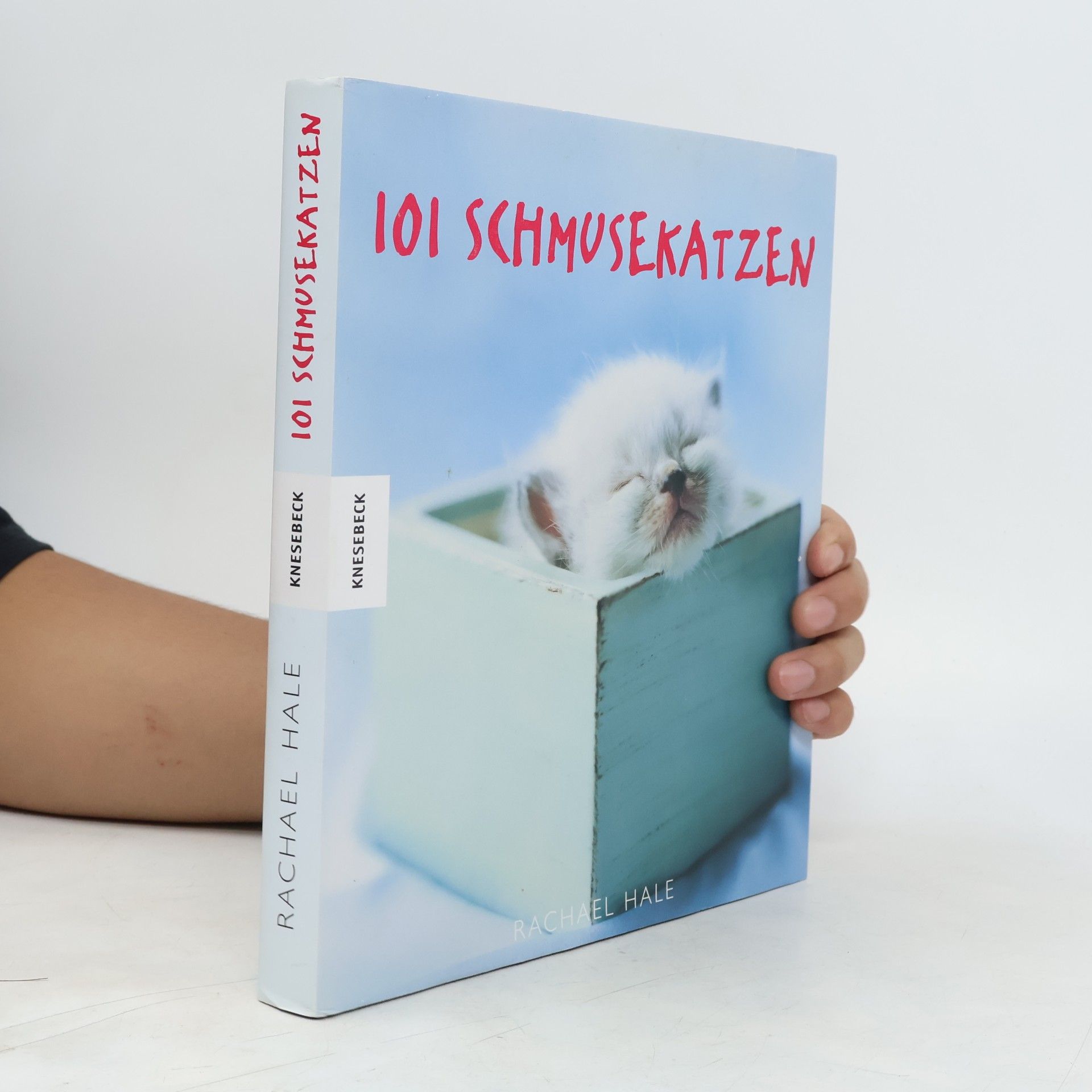 Rachael McKenna 101 Schmusekatzen
