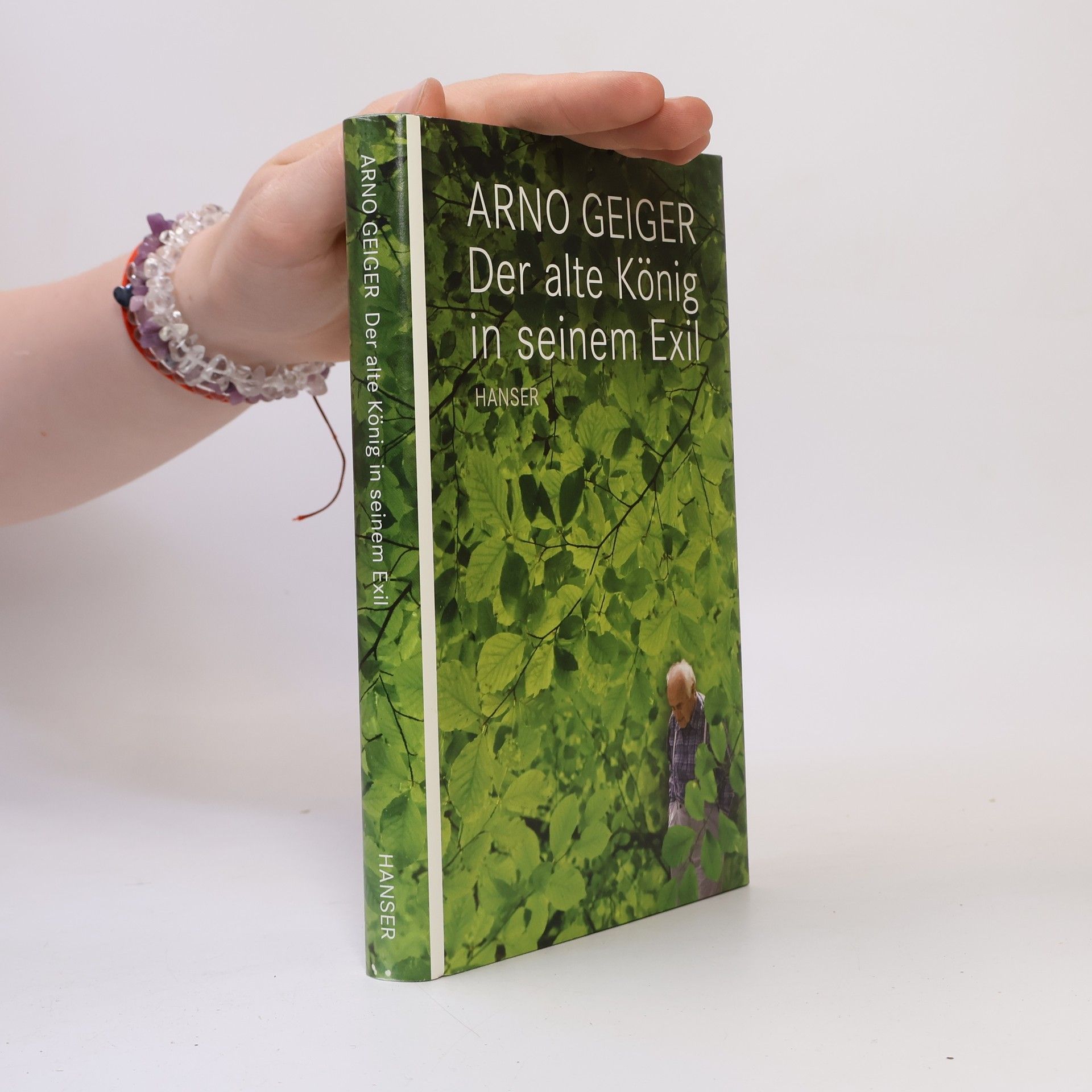 Arno Geiger Der alte König in seinem Exil