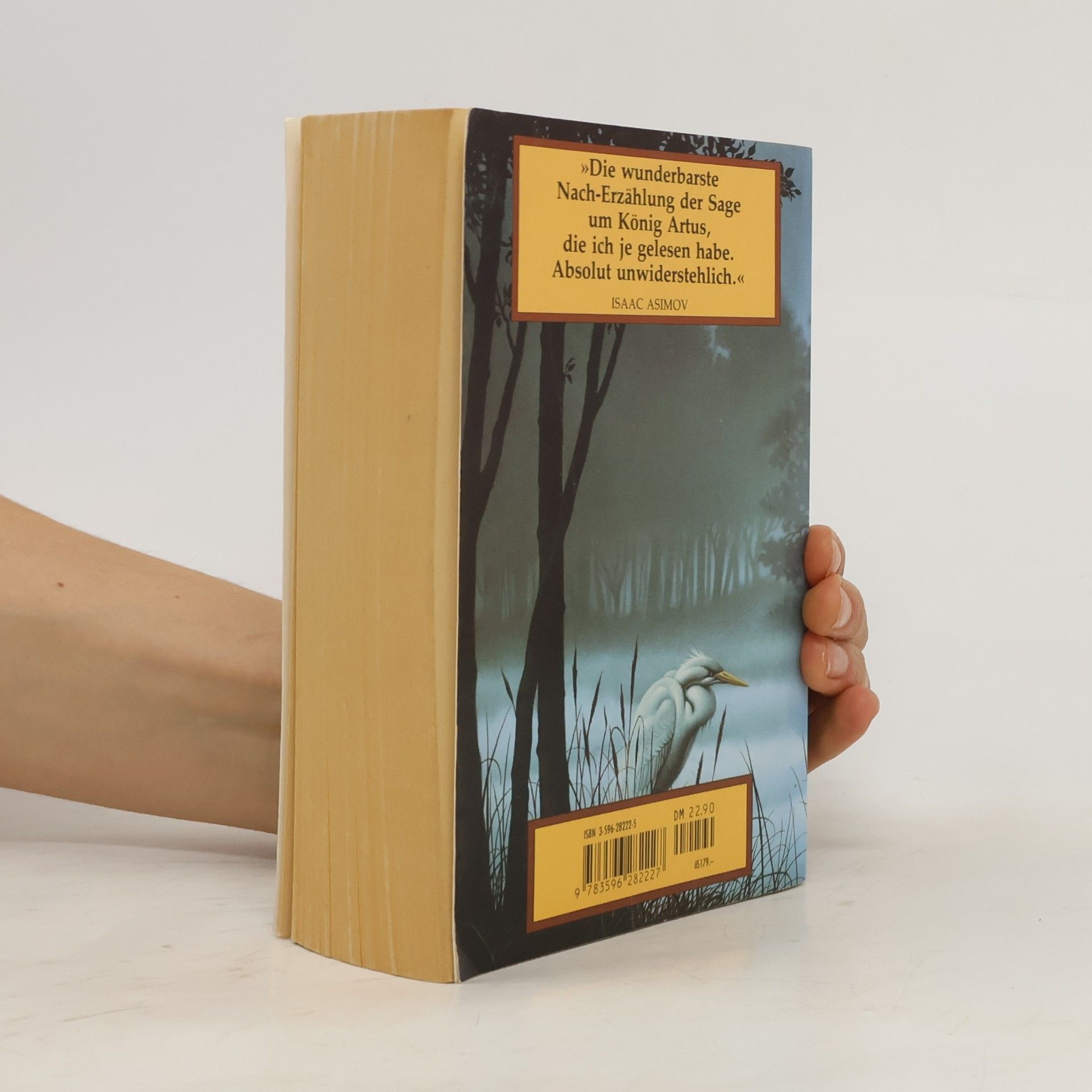 Marion Zimmer Bradley Die Nebel von Avalon