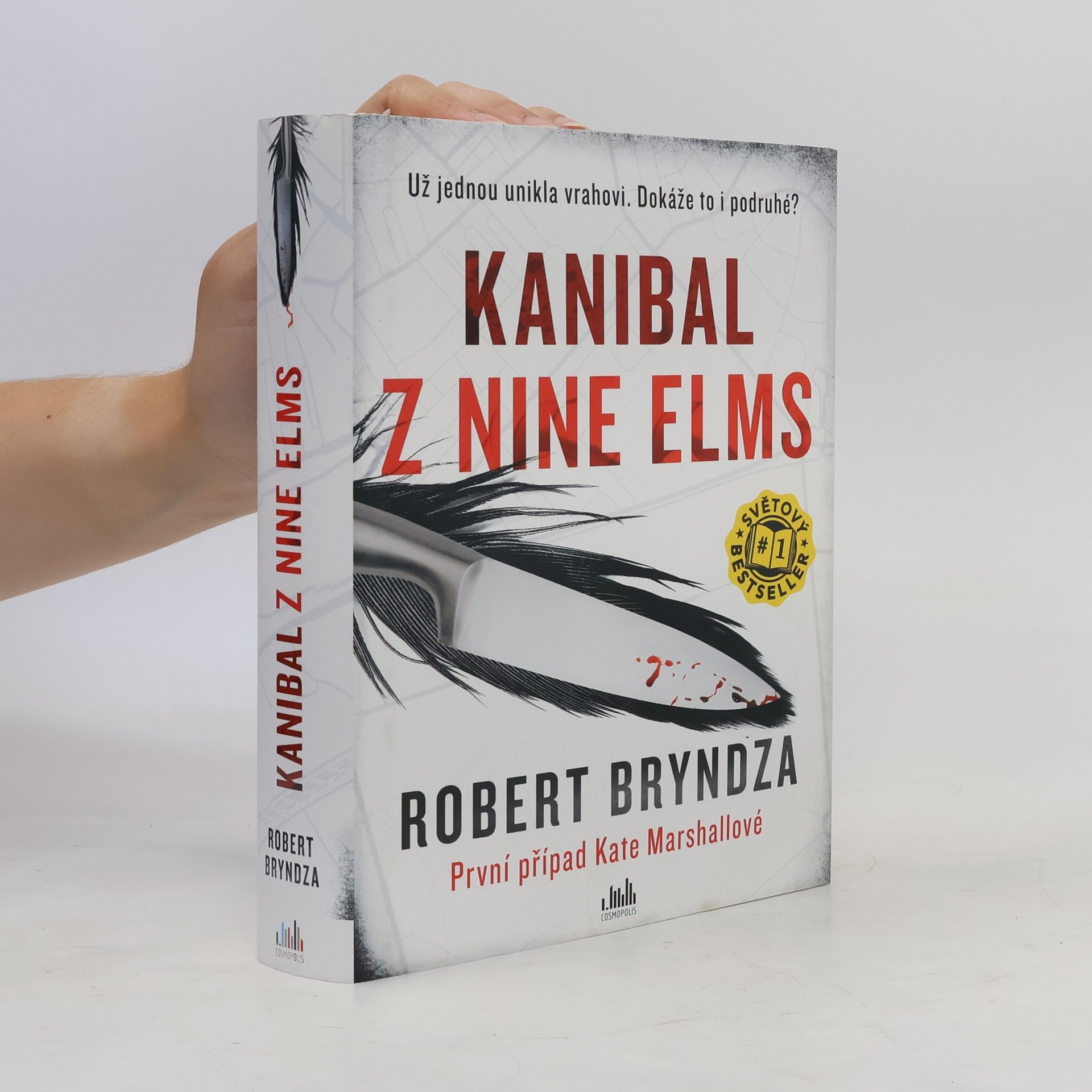 Robert Bryndza Kanibal z Nine Elms