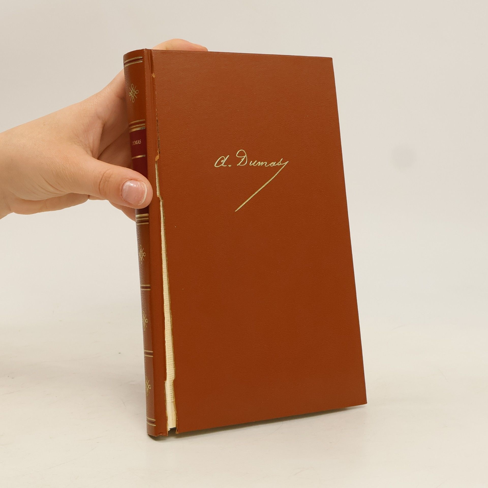 Alexandre Dumas der Ältere Die Dame mit den Kamelien