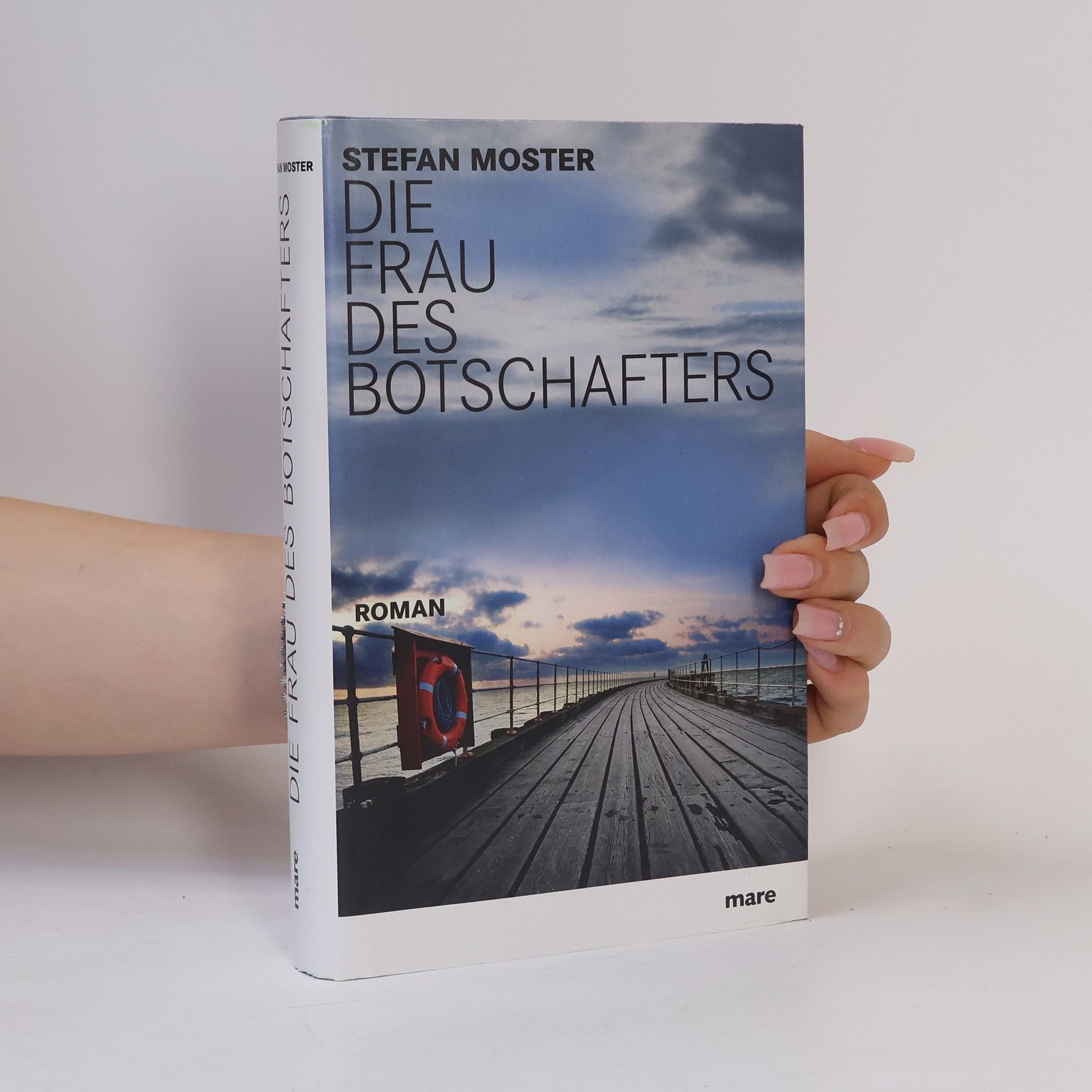 Stefan Moster Die Frau des Botschafters