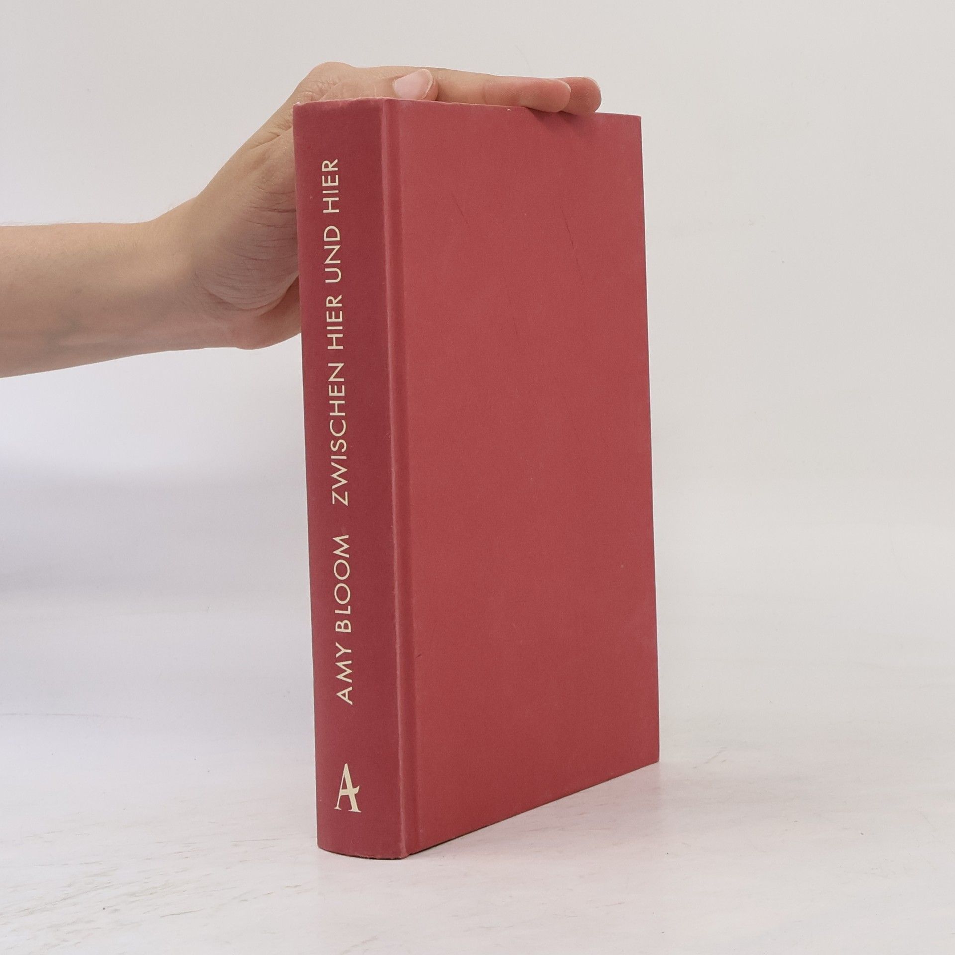 Amy Bloom Zwischen hier und hier