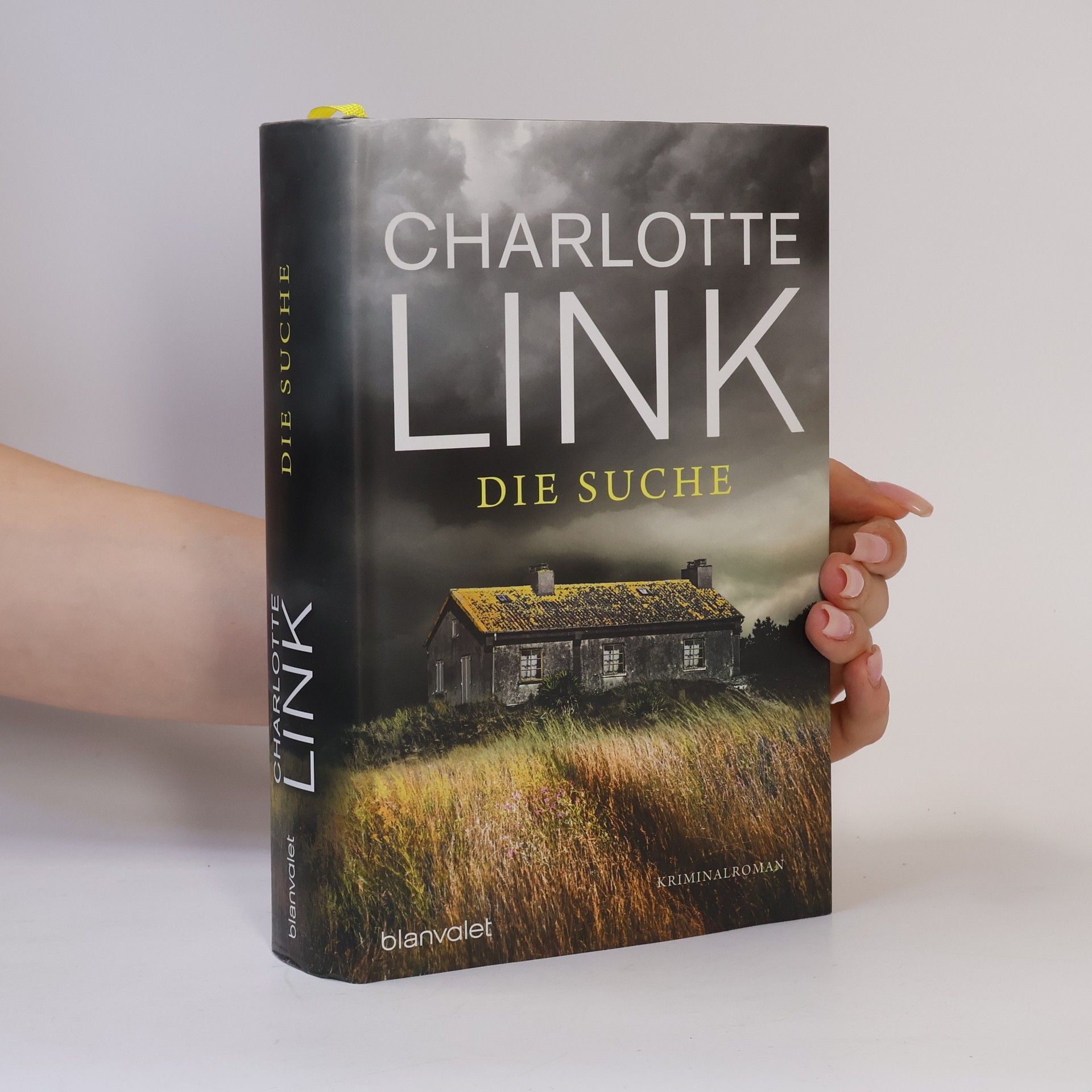Charlotte Link Die Suche