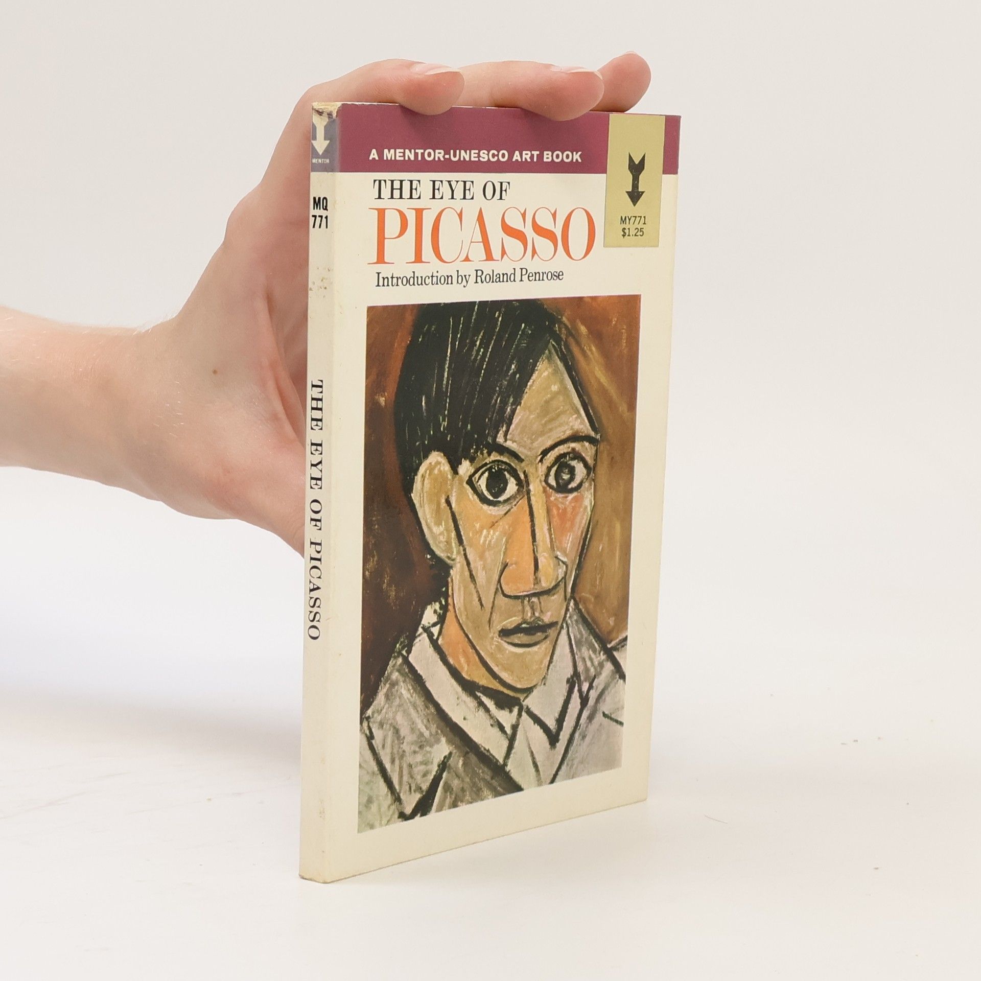 AA.VV. The Eye of Picasso