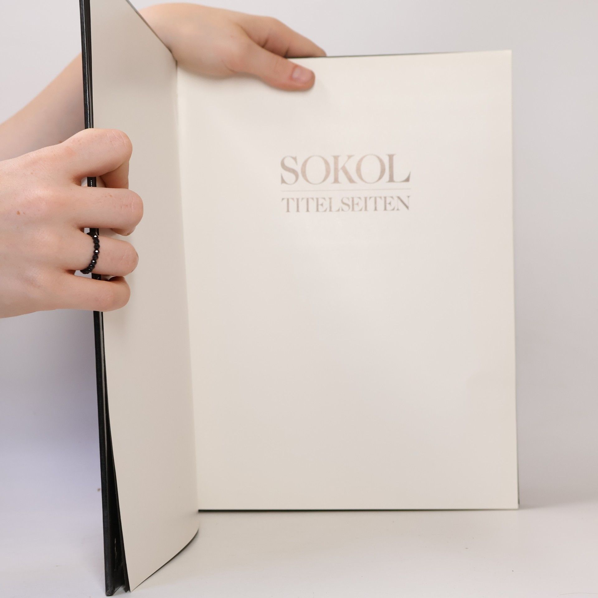 Erich Sokols Titelseiten 2