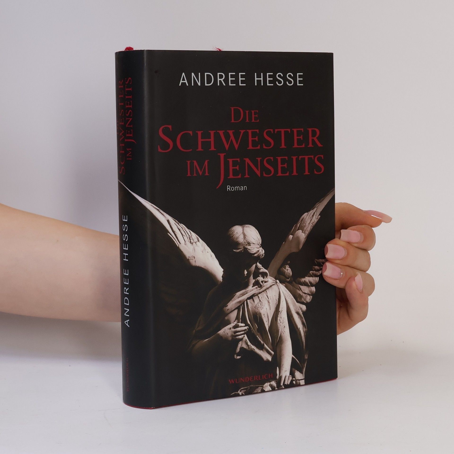 Andree Hesse Die Schwester im Jenseits