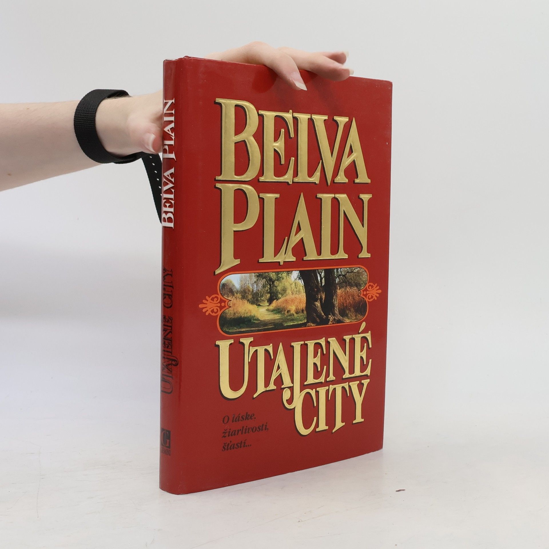 Belva Plain Utajené city