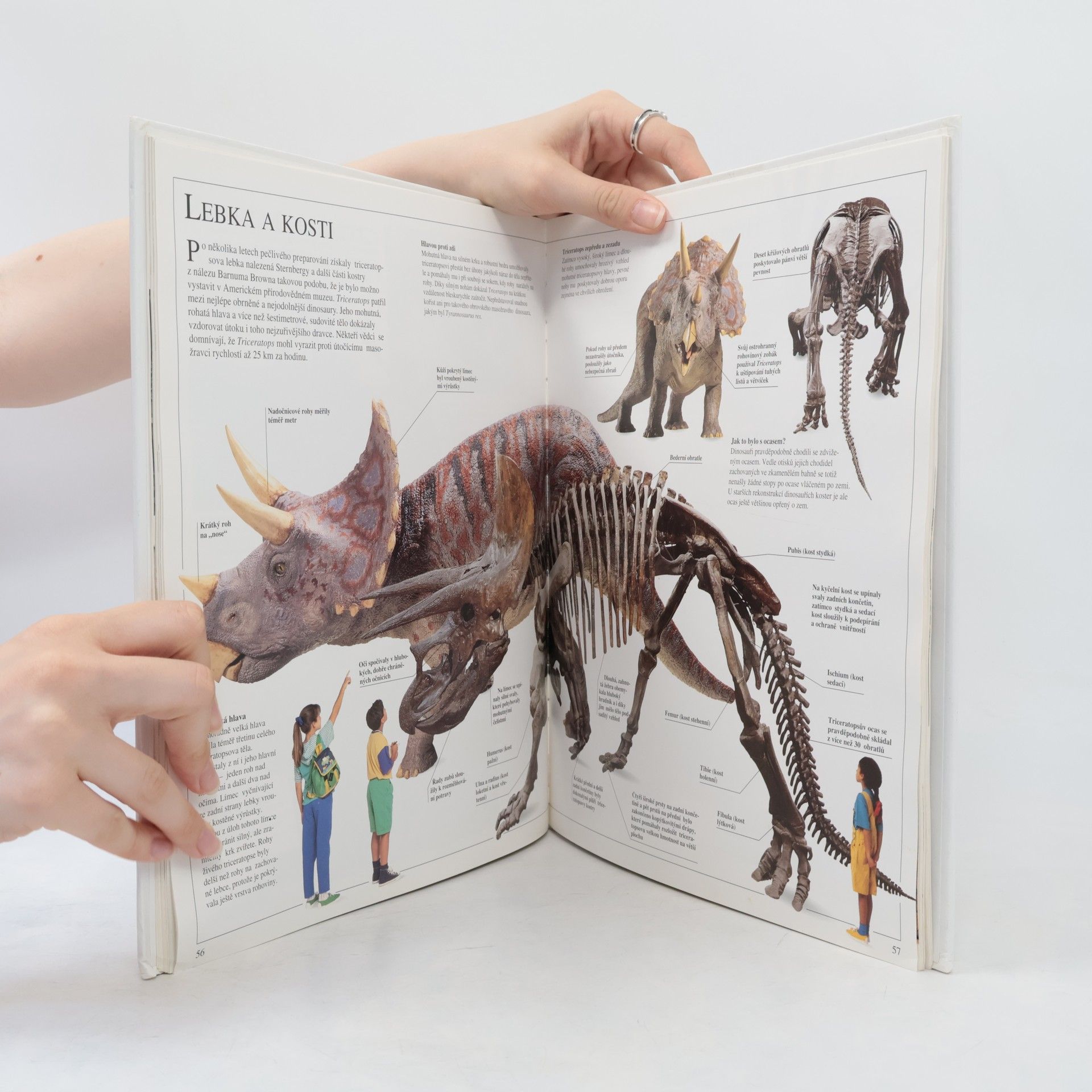 Milan Thurzo Obři pravěku : Barosaurus, Corythosaurus, Triceratops, Tyrannosaurus