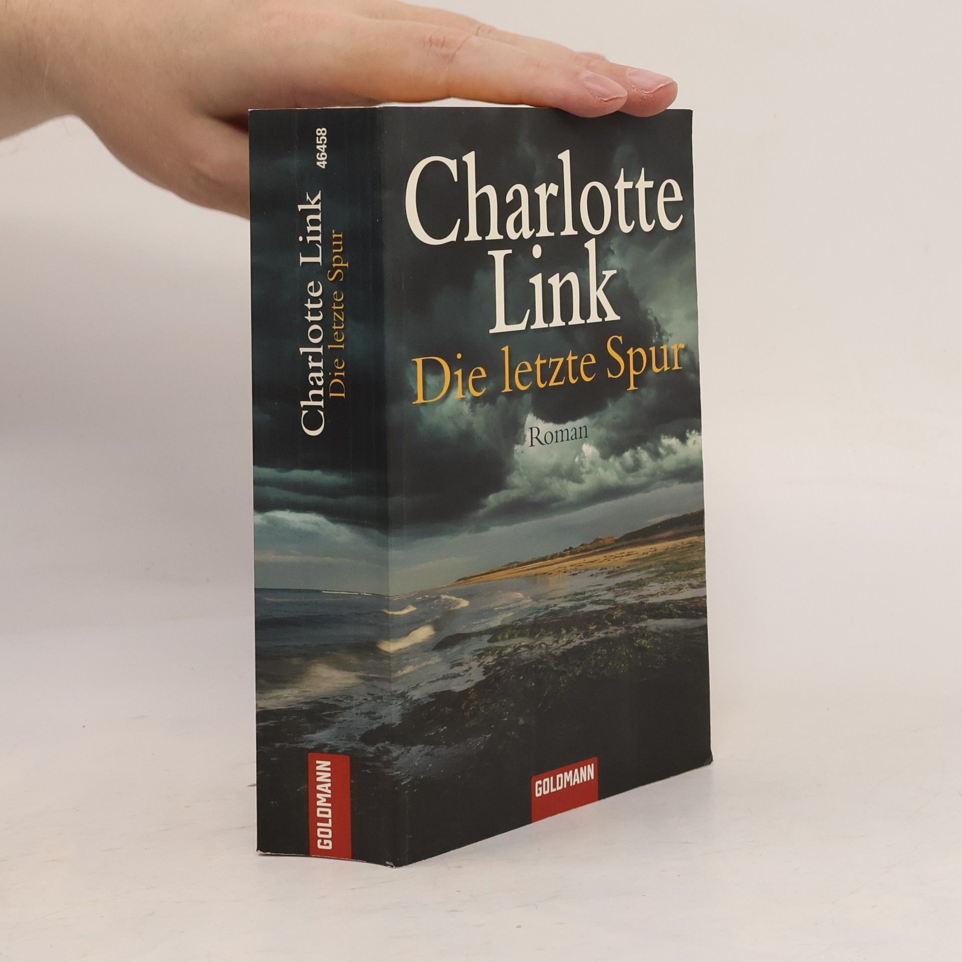 Charlotte Link Die letzte Spur