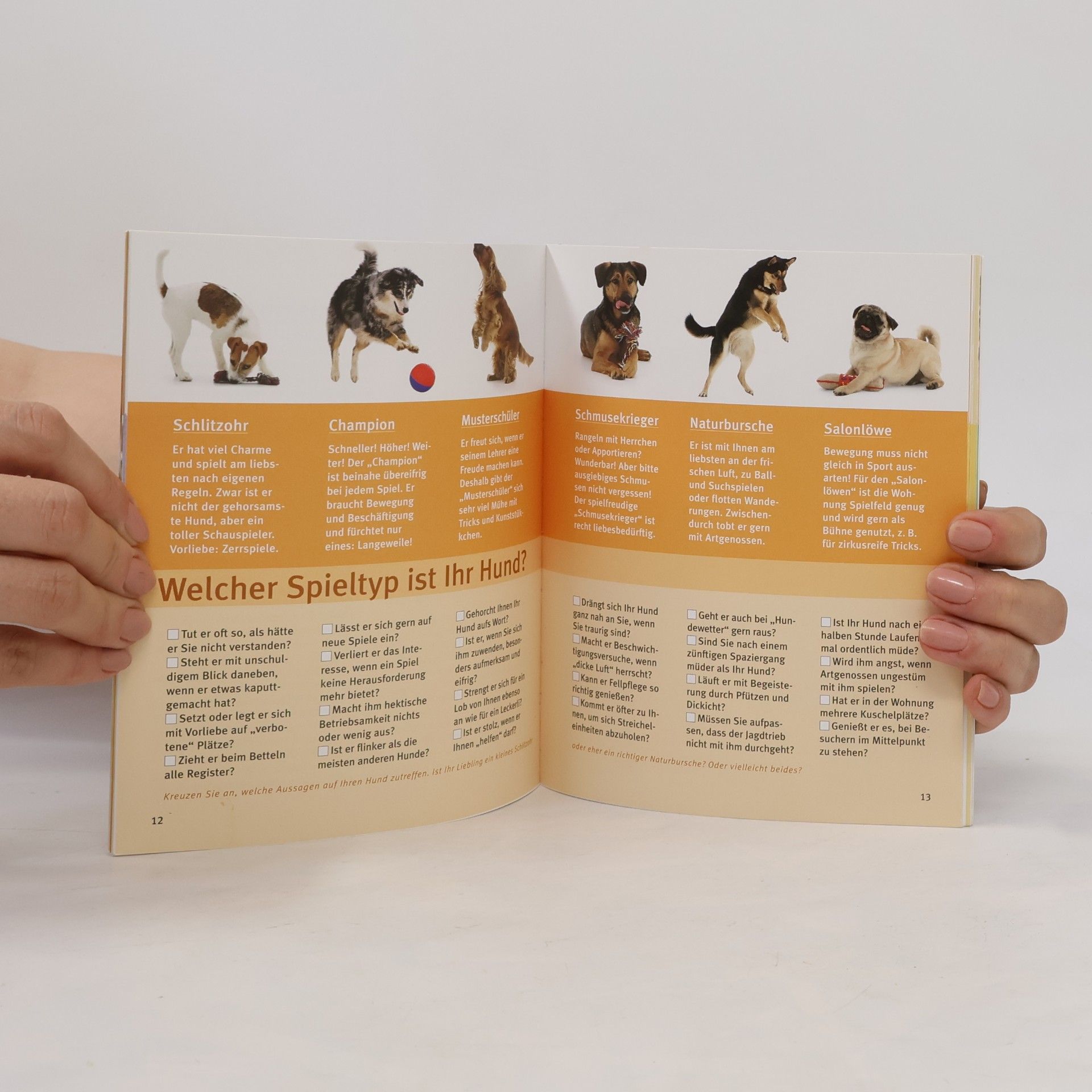 Brigitte Eilert-Overbeck Hunde-Spiele