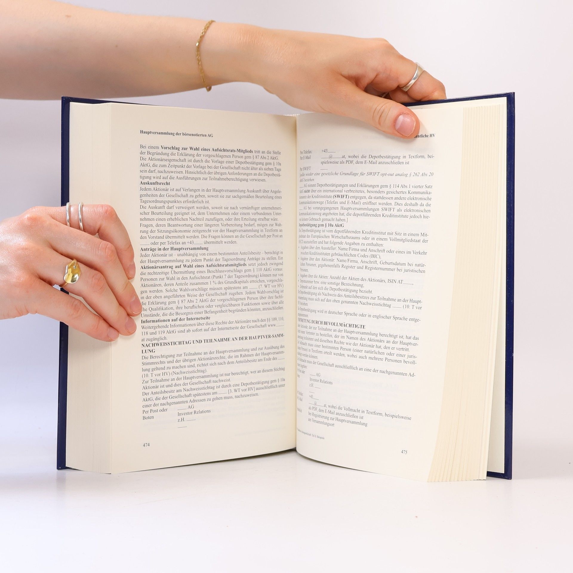 Rupert Brix Handbuch Aktiengesellschaft
