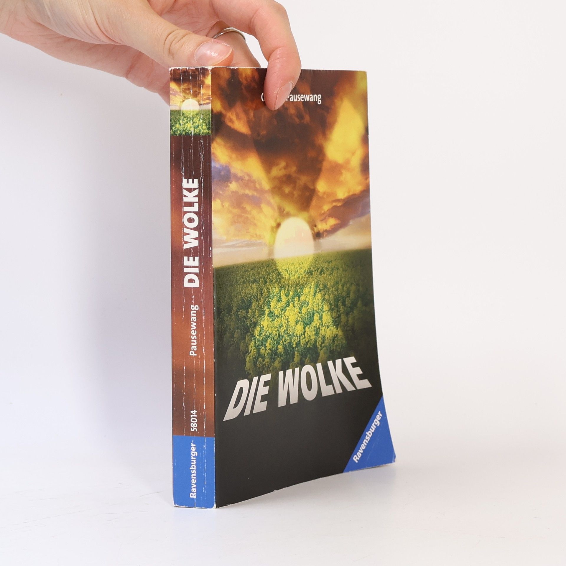 Gudrun Pausewang Die Wolke