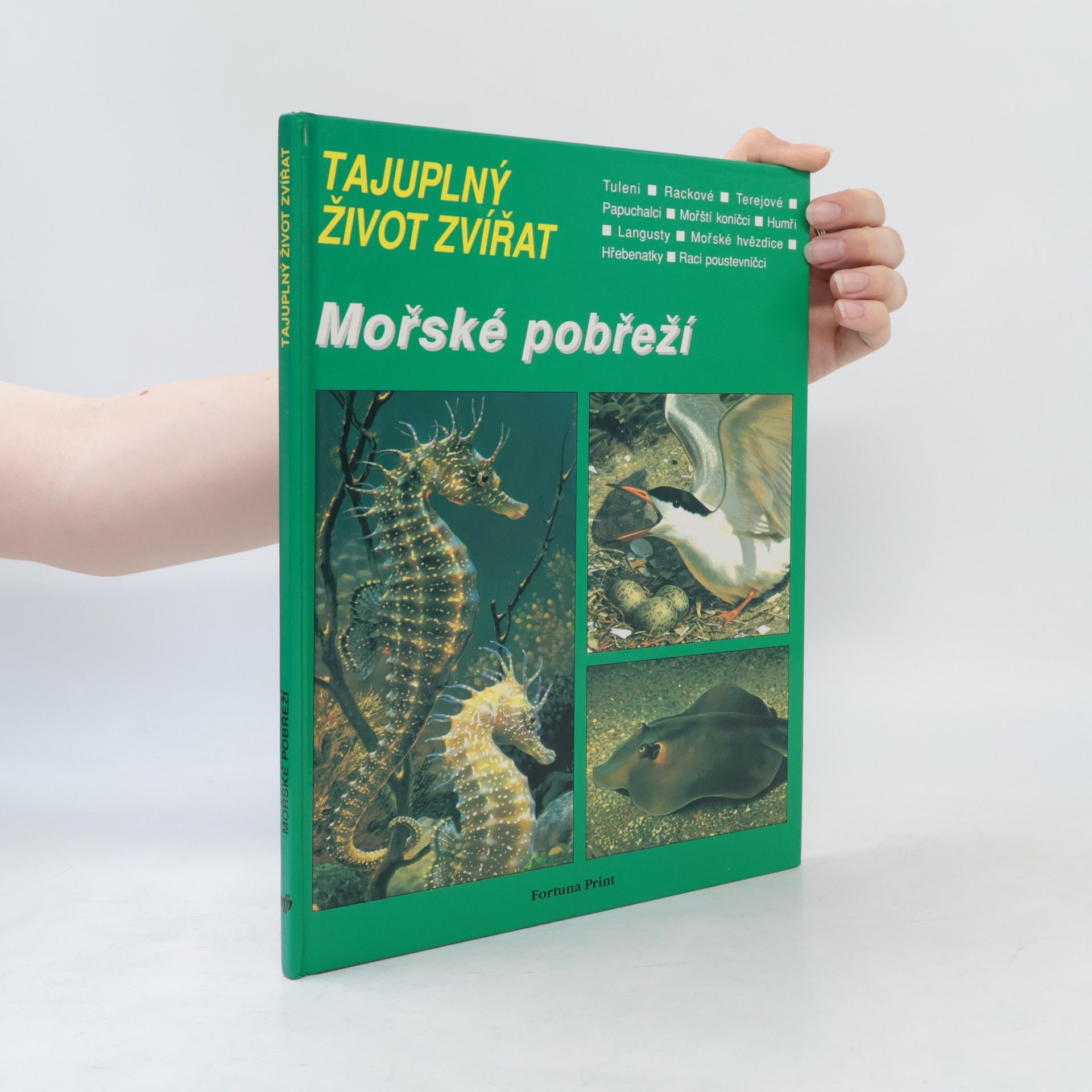 Charles Roux Tajuplný život zvířat: Mořské pobřeží