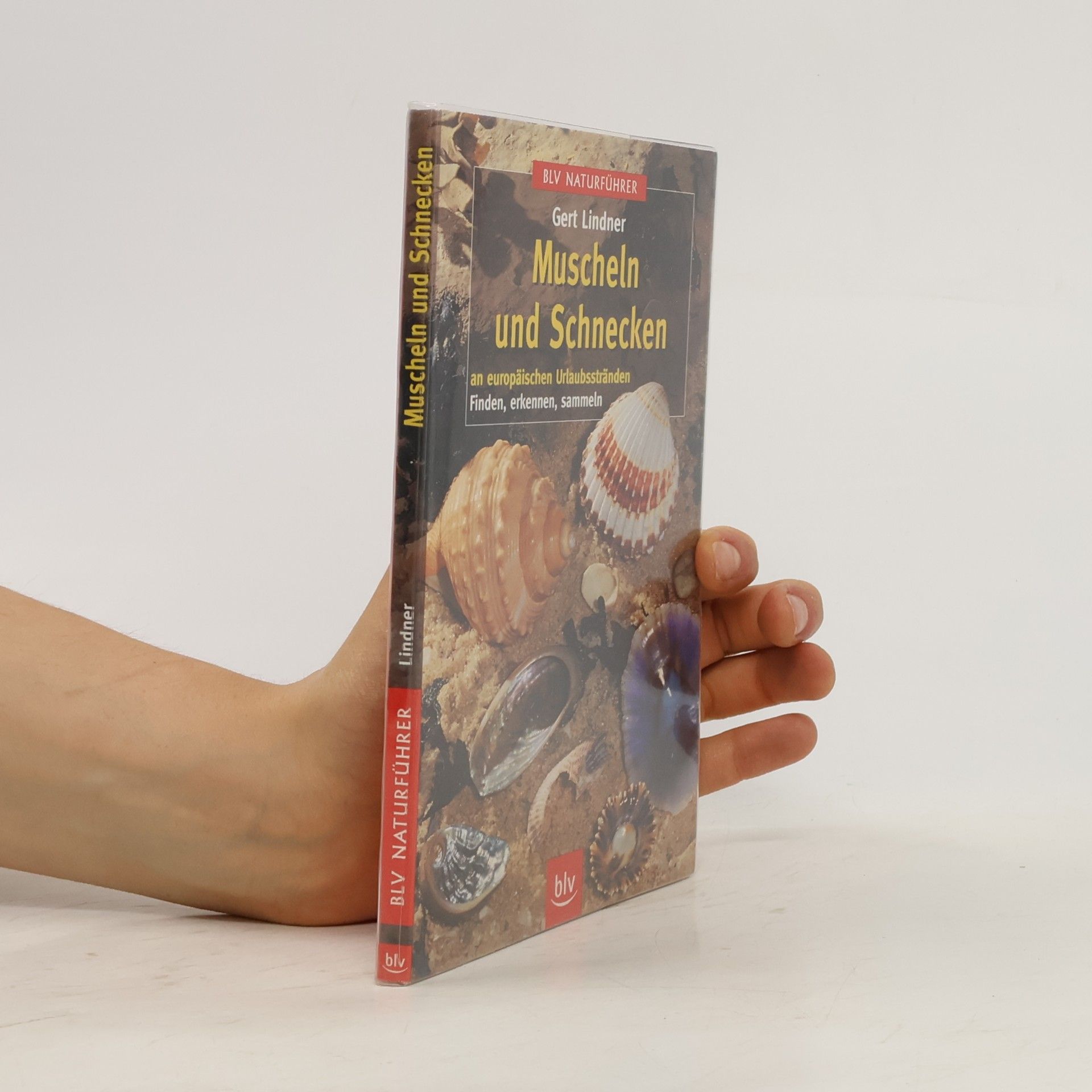 Gert Lindner Muscheln und Schnecken