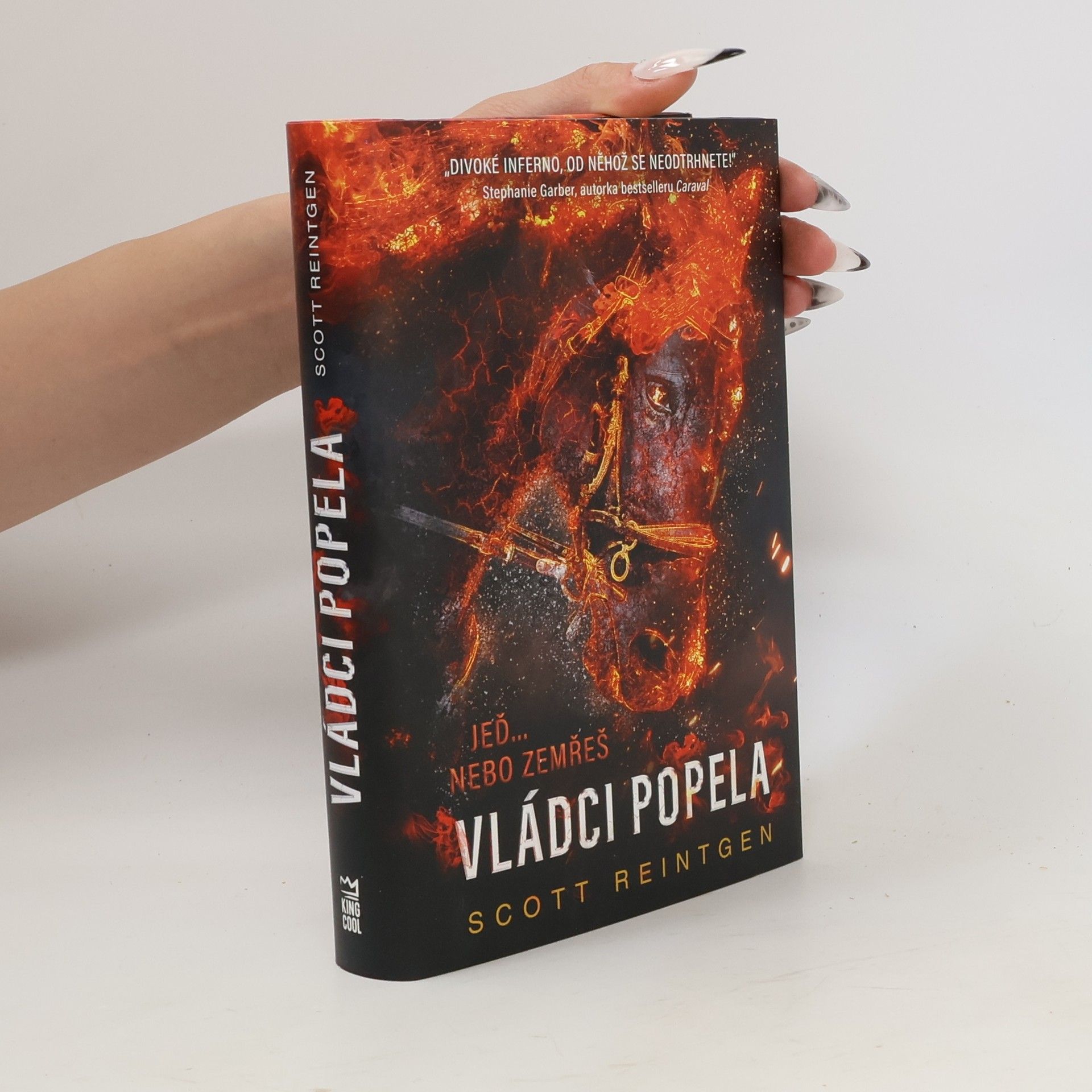 Scott Reintgen Vládci popela