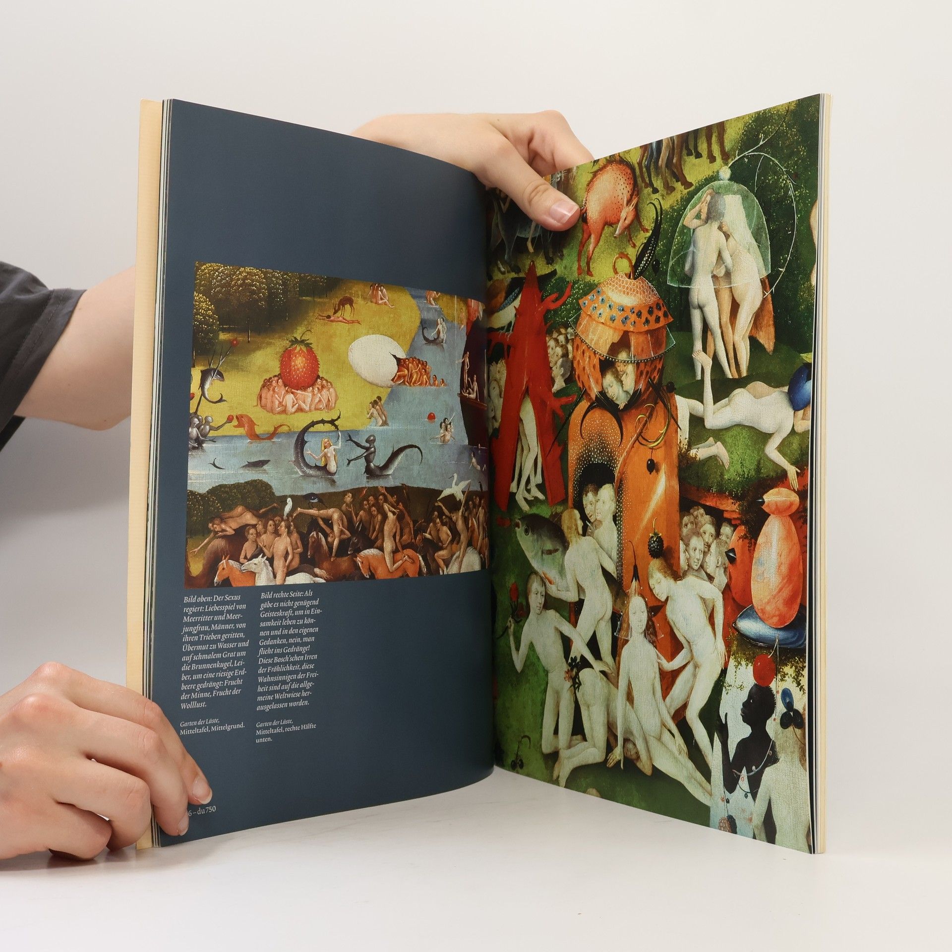 Johann Christoph Bürkle Hieronymus Bosch. Verloren im Paradies