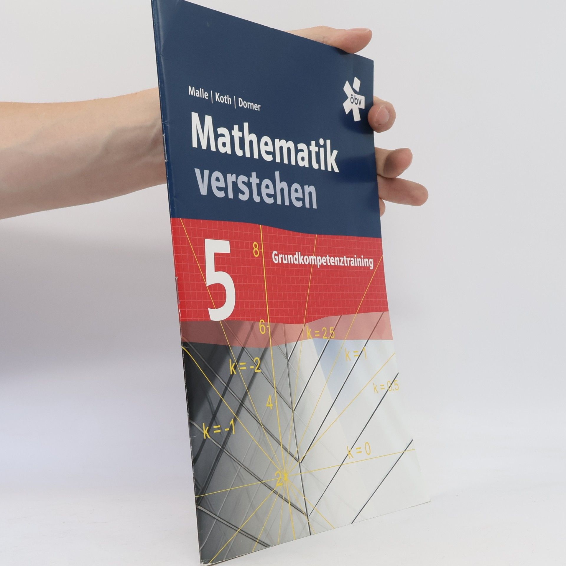 Günther Malle Mathematik verstehen