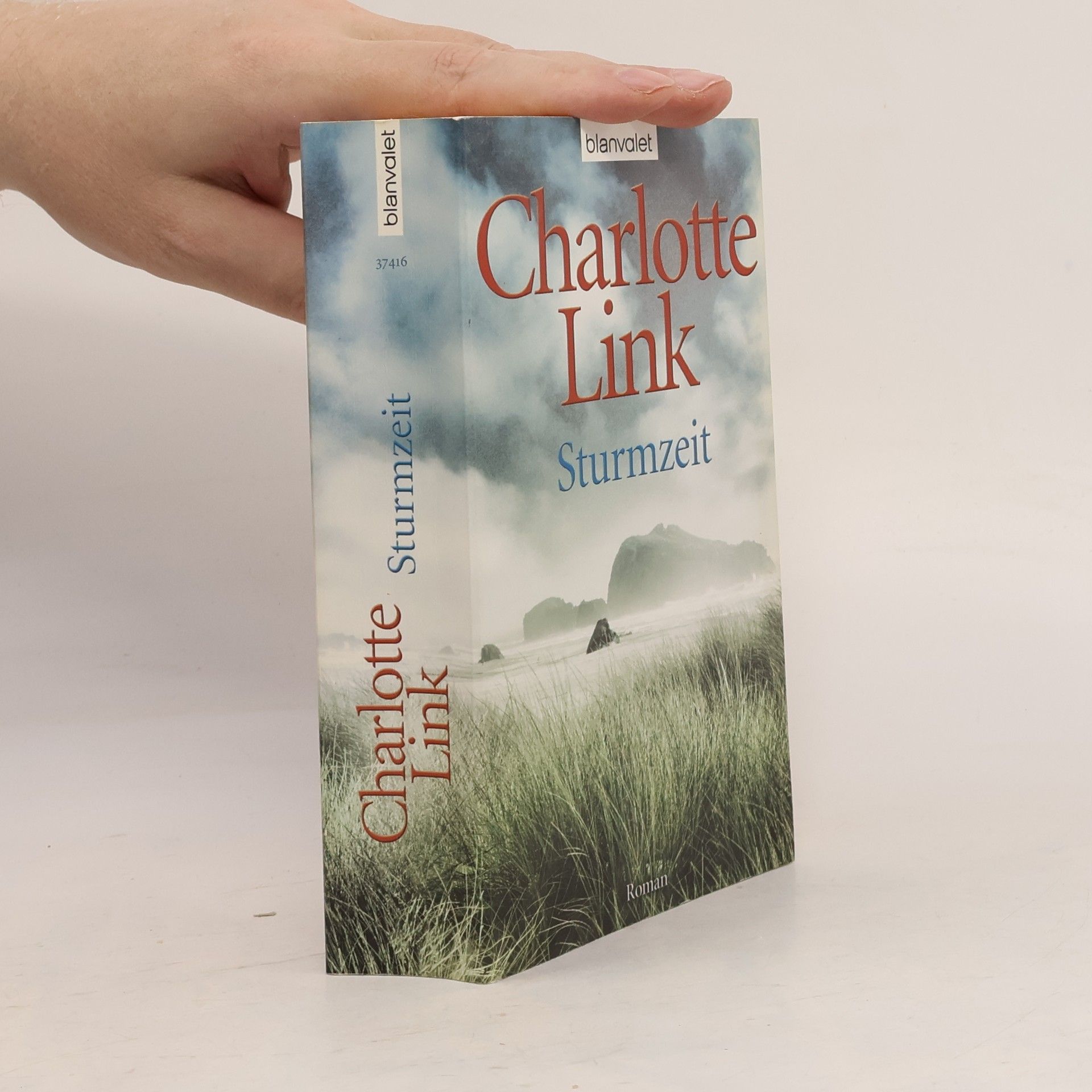Charlotte Link Sturmzeit