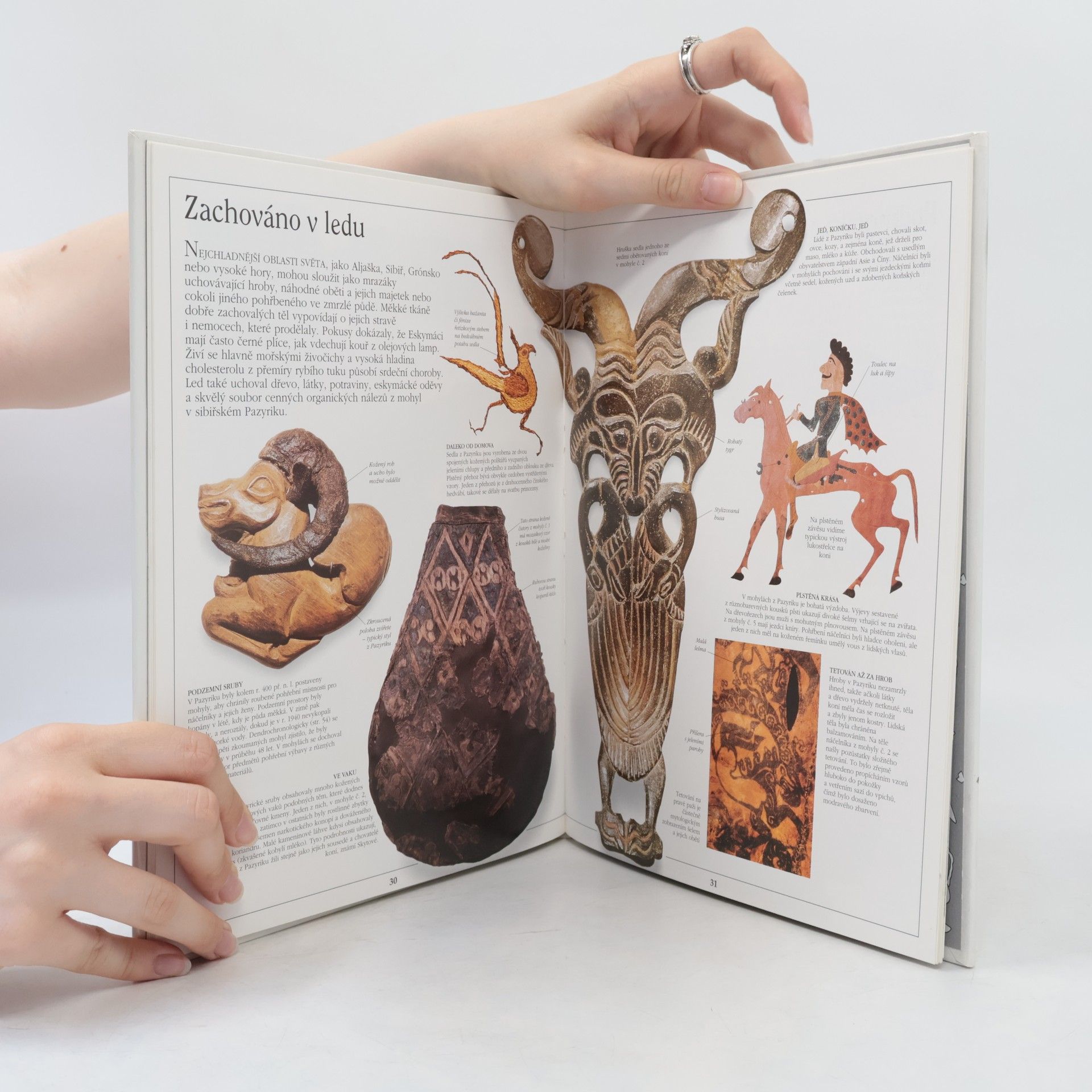 Jane McIntosh Archeologie