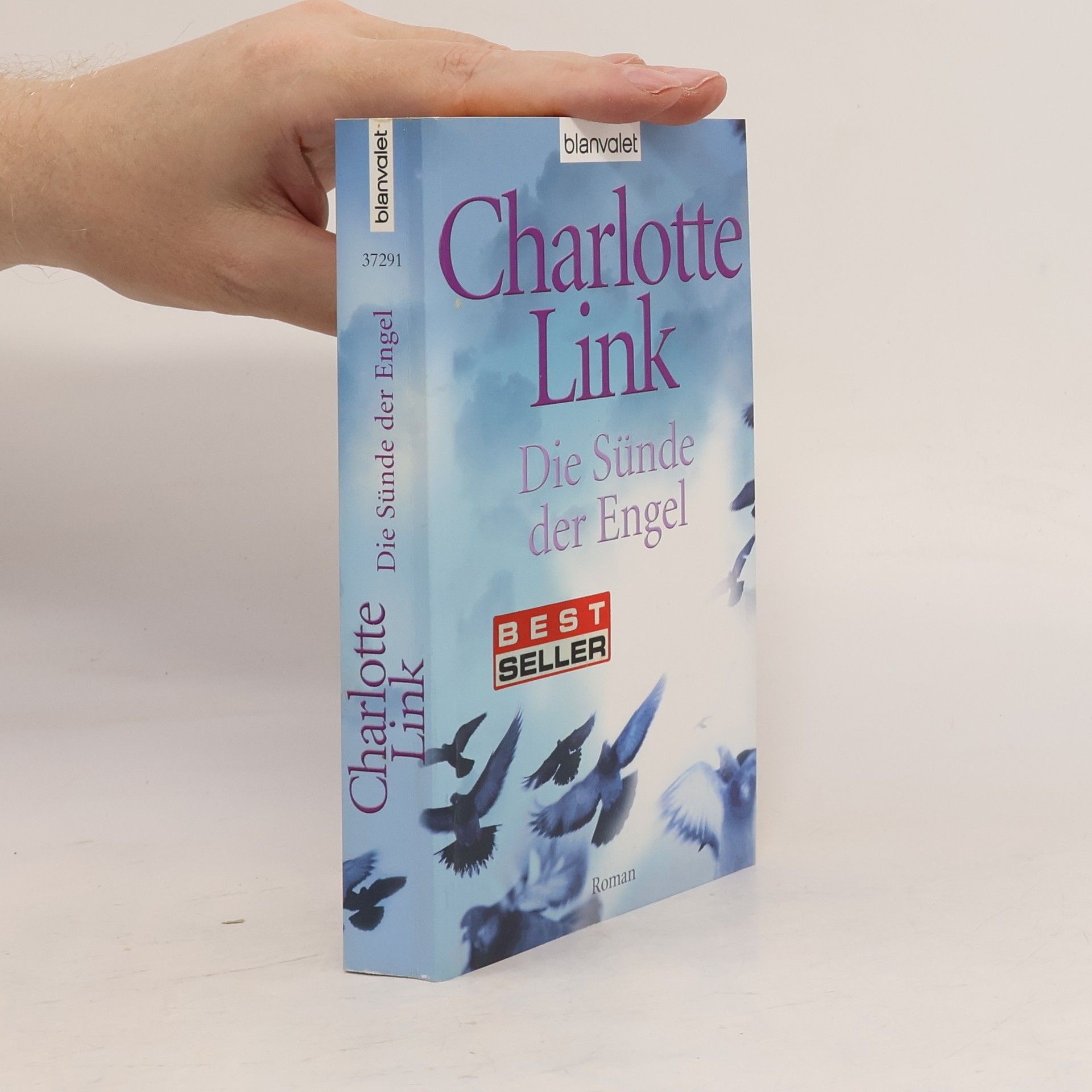 Charlotte Link Die Sünde der Engel