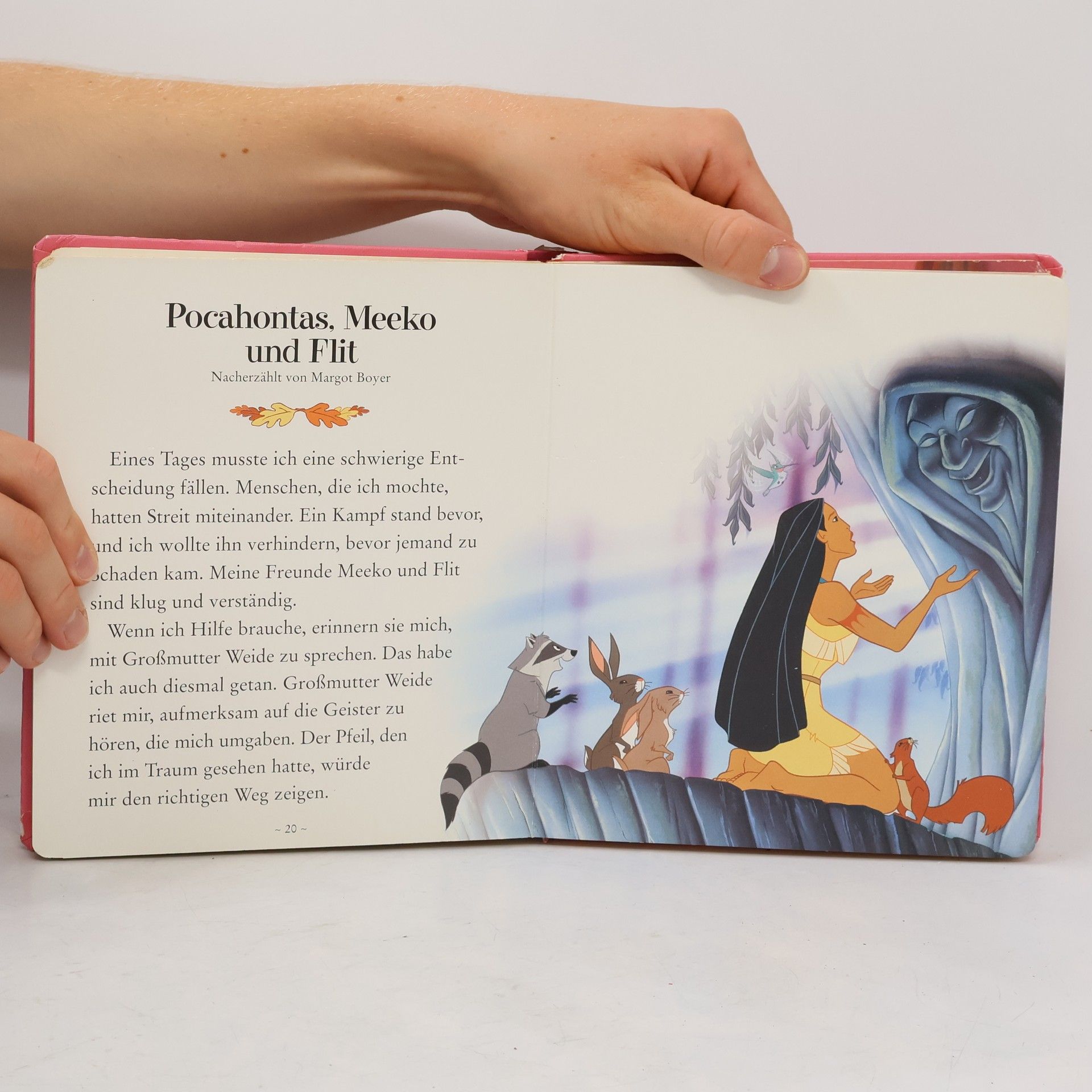 Autorenkollektiv Disney Prinzessin. Filmklassiker