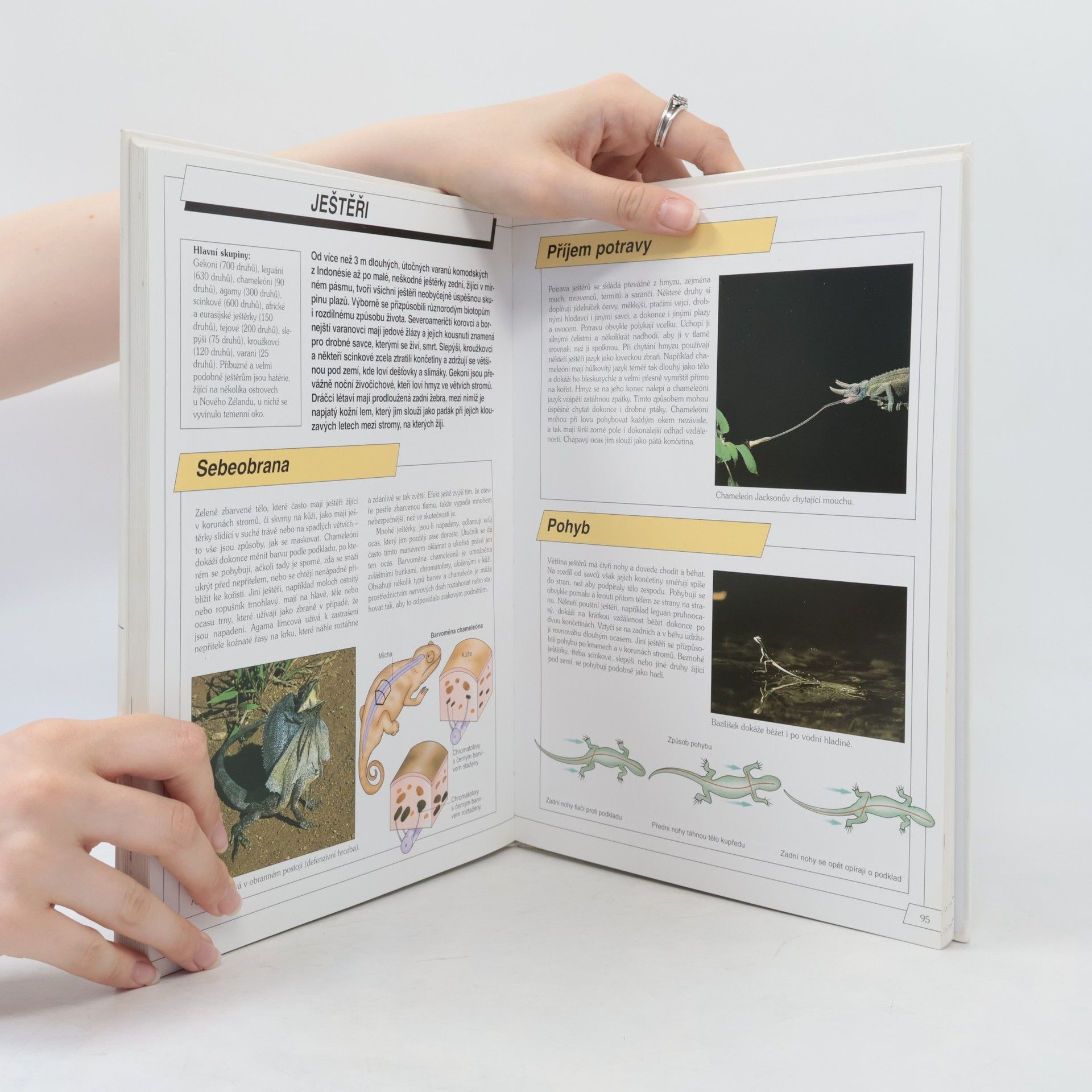 Autores varios Velká encyklopedie přírody